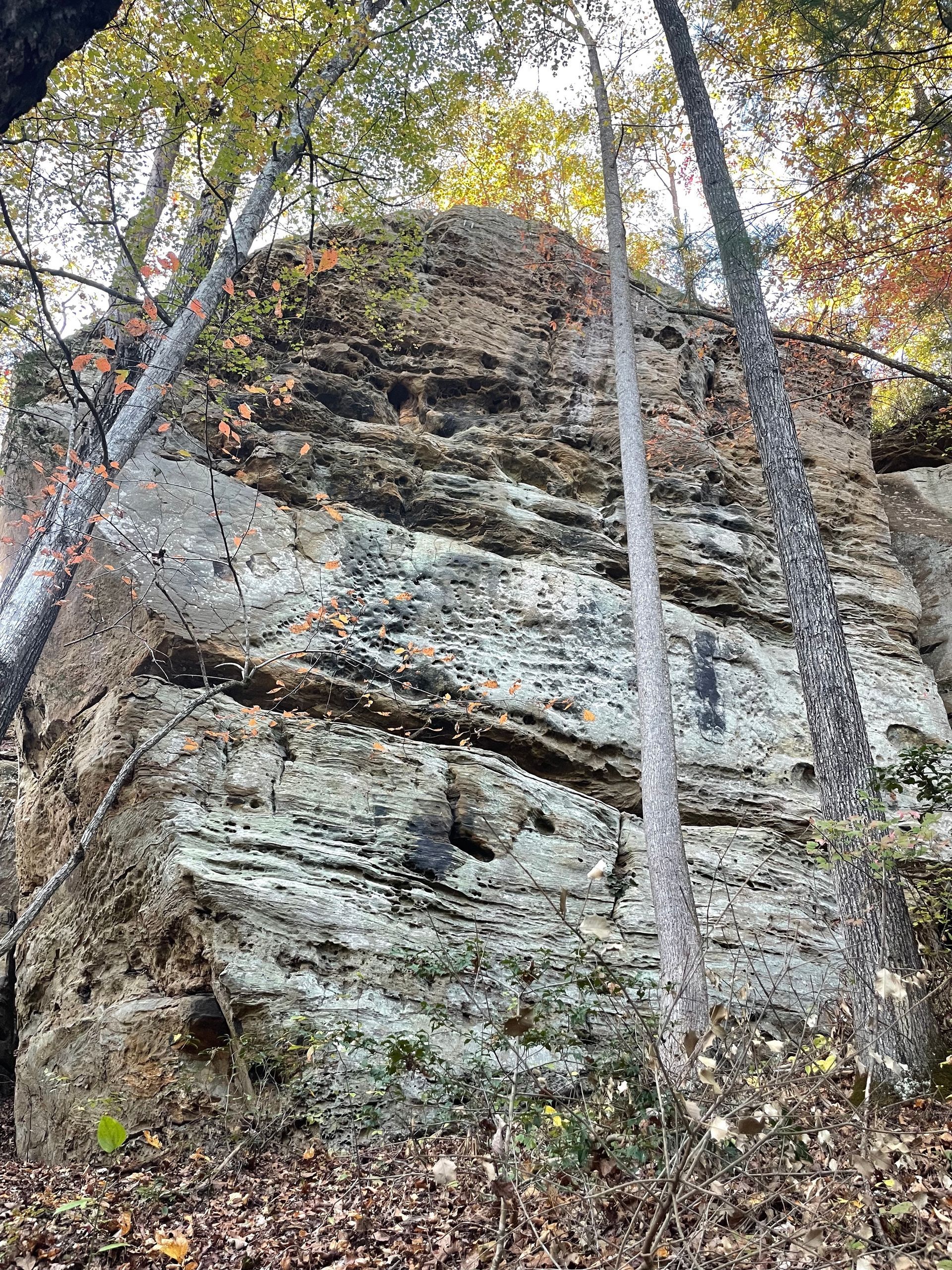 The new Red River Gorge rock climbing crag  The Chicken Coop in Cave Fork Recreational Preserve 
