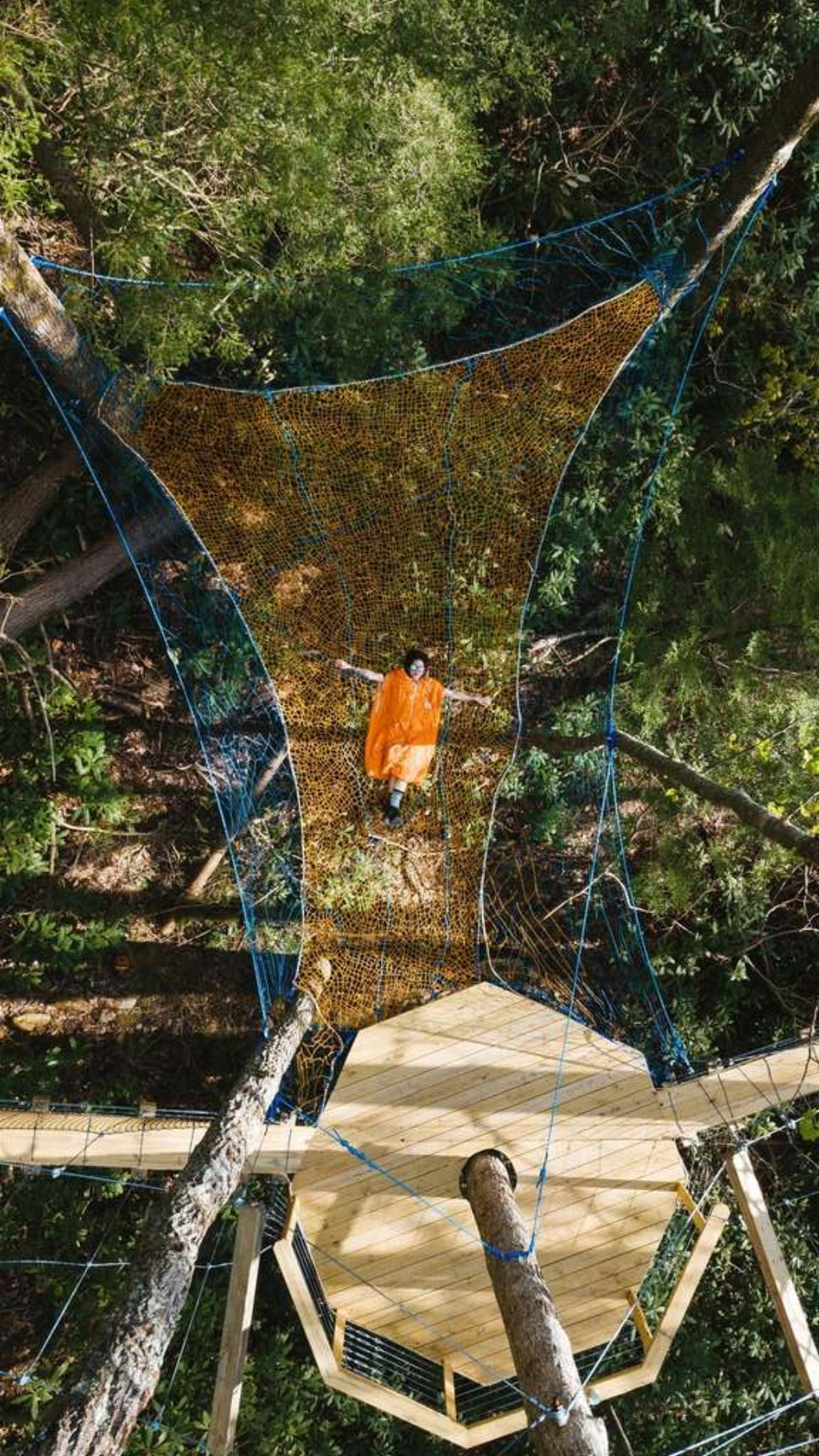 hanging out in a canopy tree net in the red river gorge
