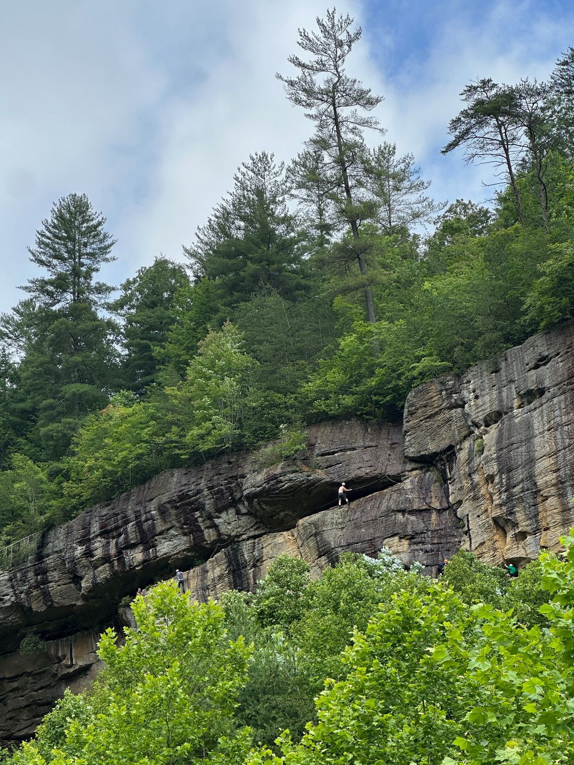 Climber high on the Red River Gorge canyon wall, securely clipped to the Via Ferrata cable system with sweeping views of the valley far below.