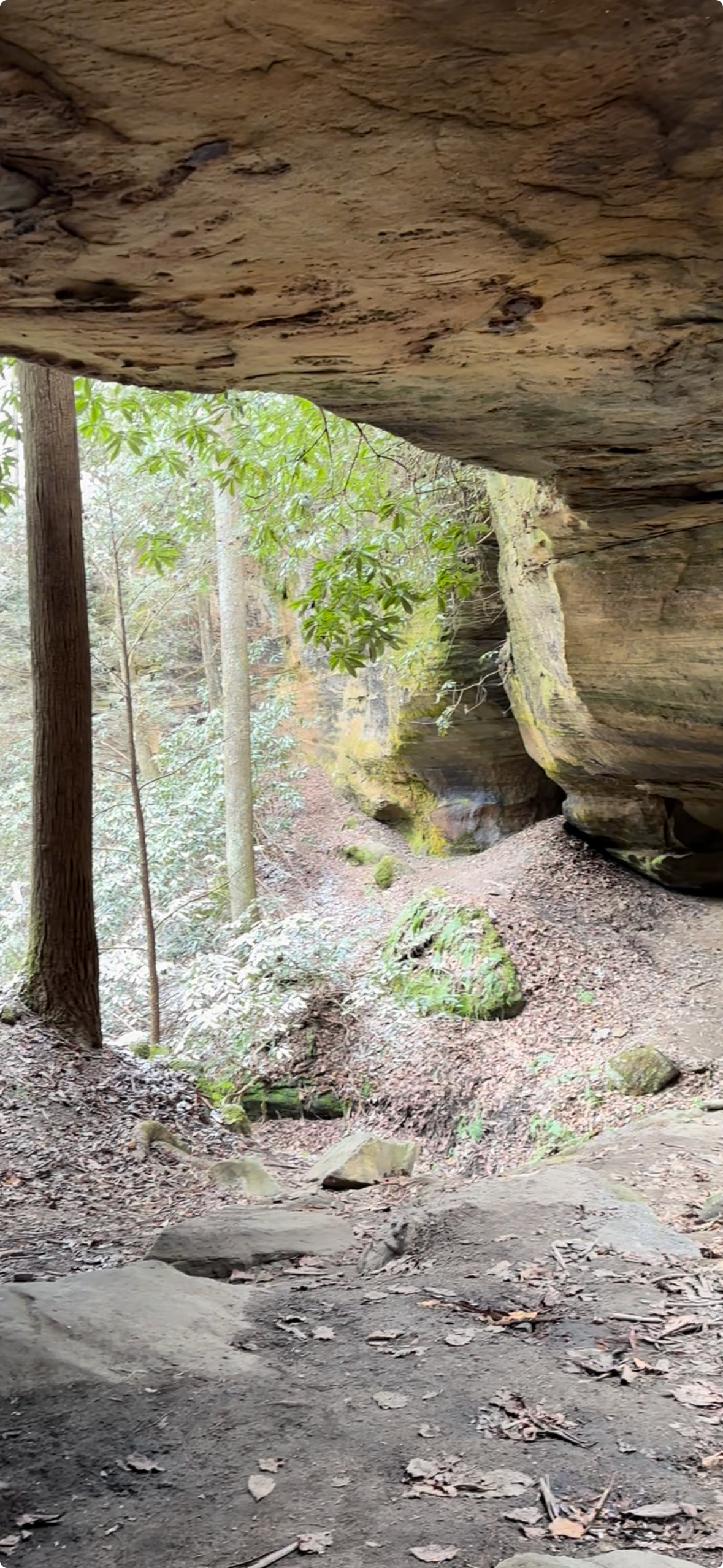 View from the Bottom of Red Byrd Arch in the Red River Gorge