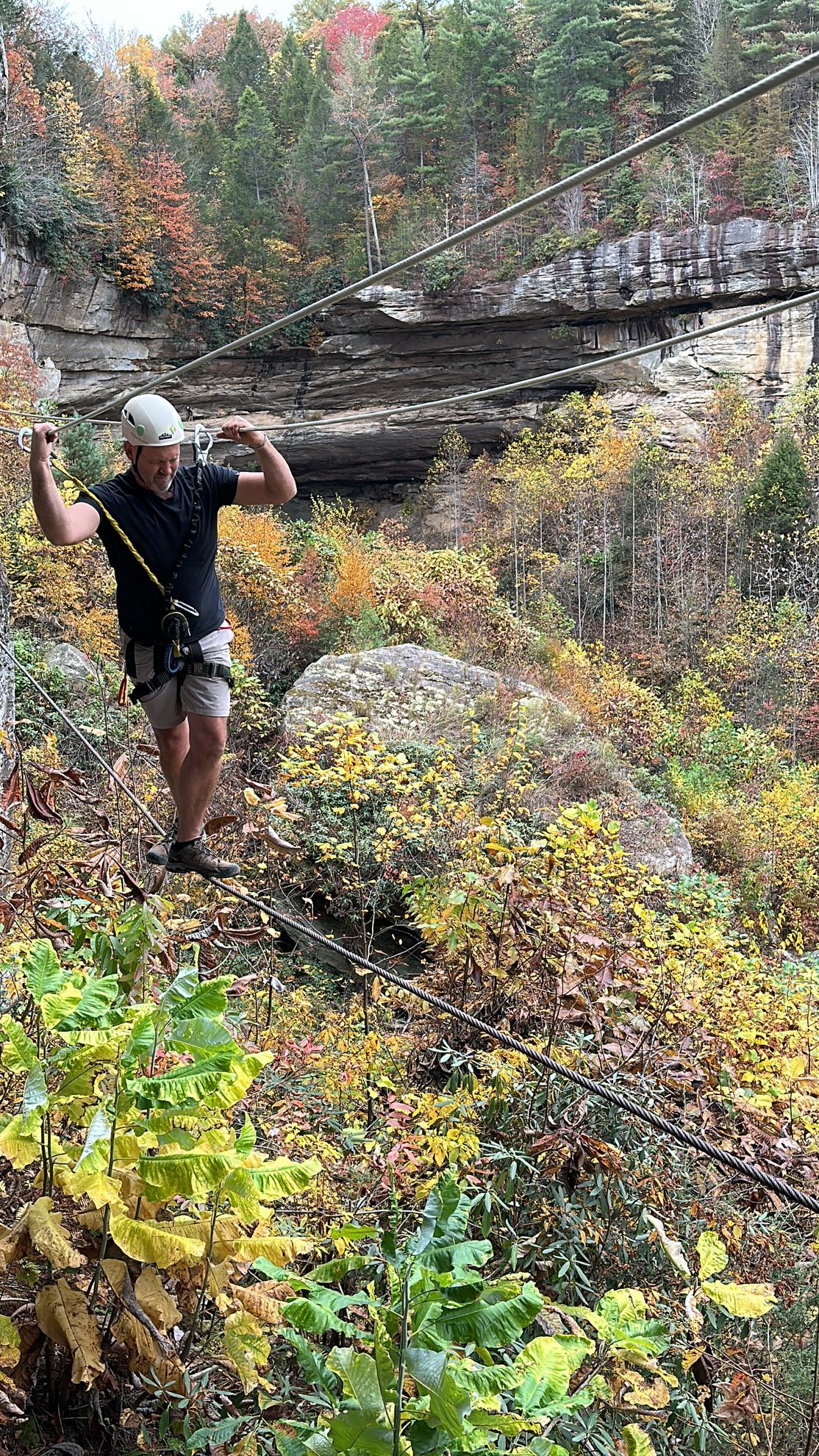 Via Ferrata climber carefully crosses a suspended cable bridge high above the Red River Gorge, surrounded by sandstone cliffs and forested canyon views.
