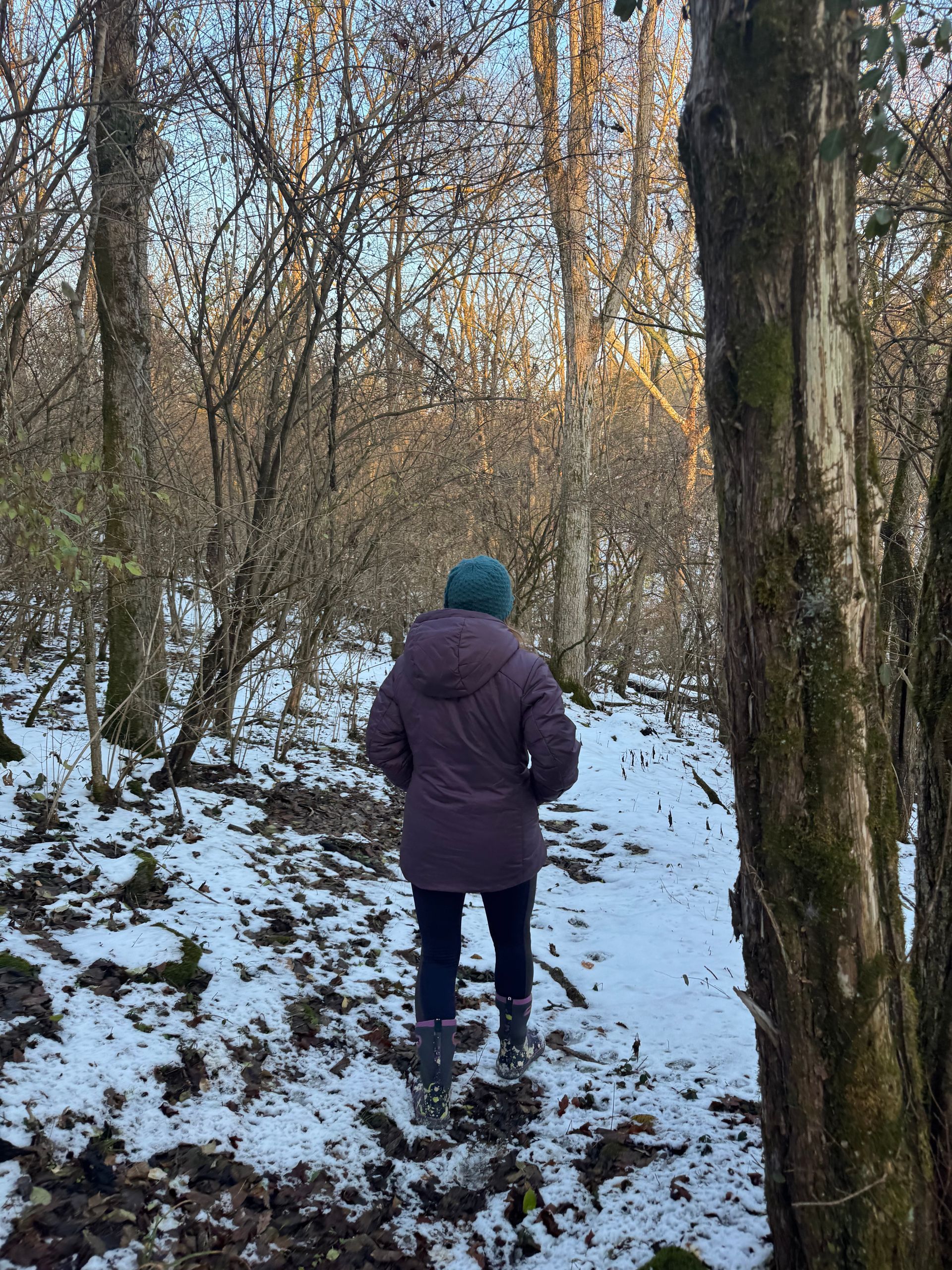 Winter Hiking in the Red River Gorge