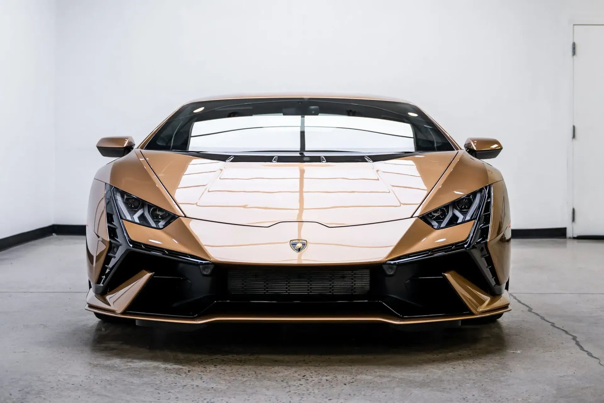 Paint Protection Film Service