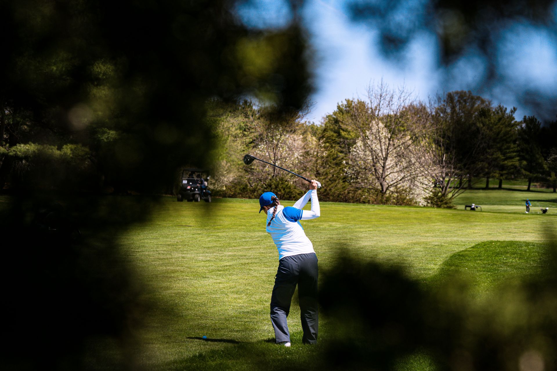 Golfer in blue and white swings on a green course, framed by dark trees and bright blossoms