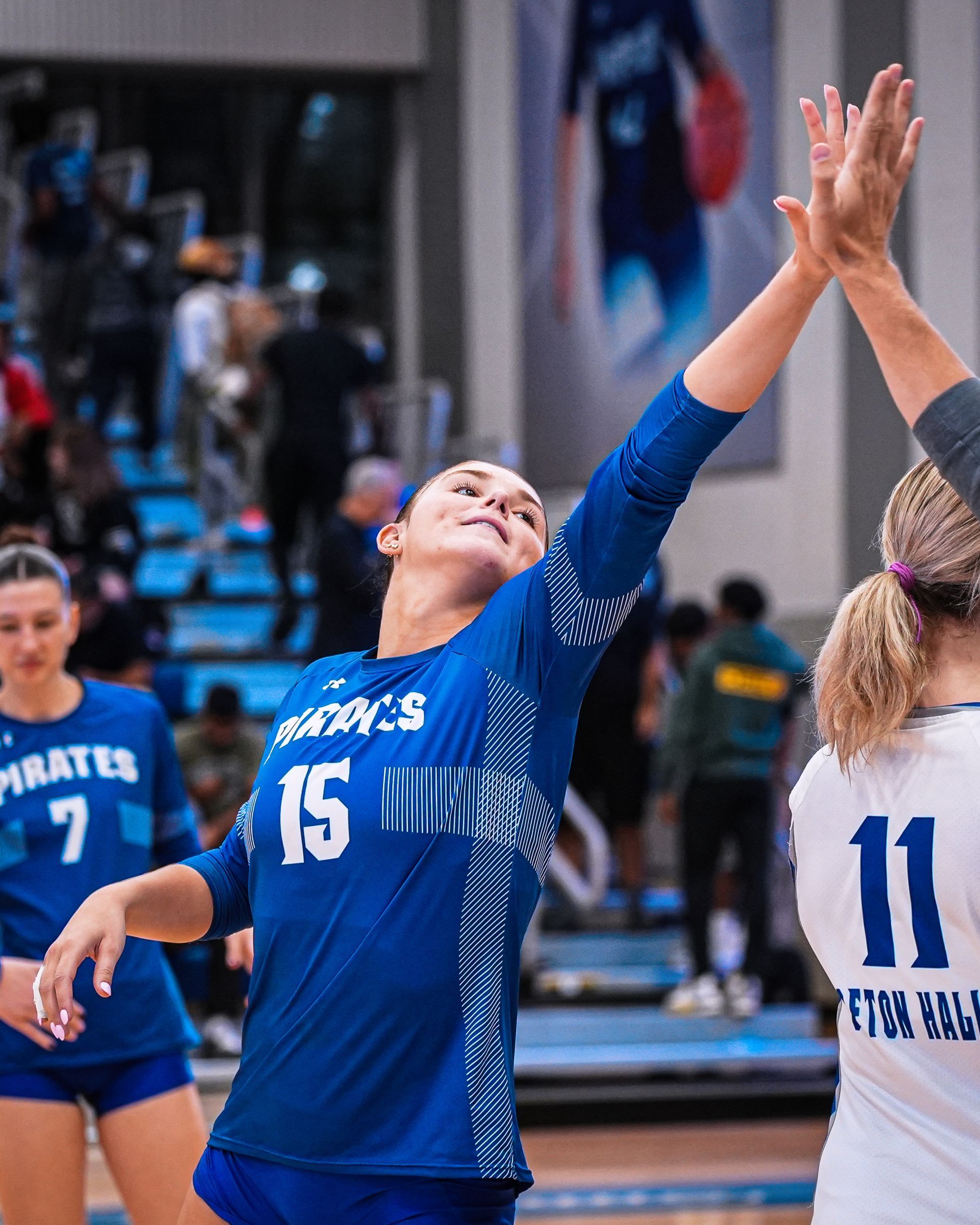 Volleyball player in blue jersey jumps to spike, reaching over the net during a match