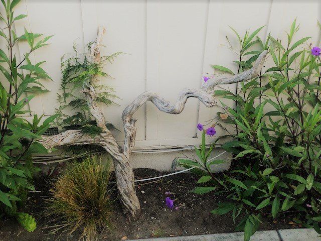 Laguna Beach Property Exterior