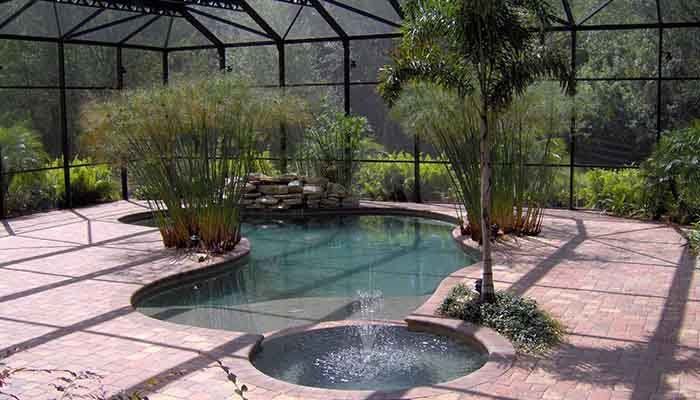 Custom Shaped Pool inside a Greenhouse - Pool & Deck Construction in Sarasota, FL