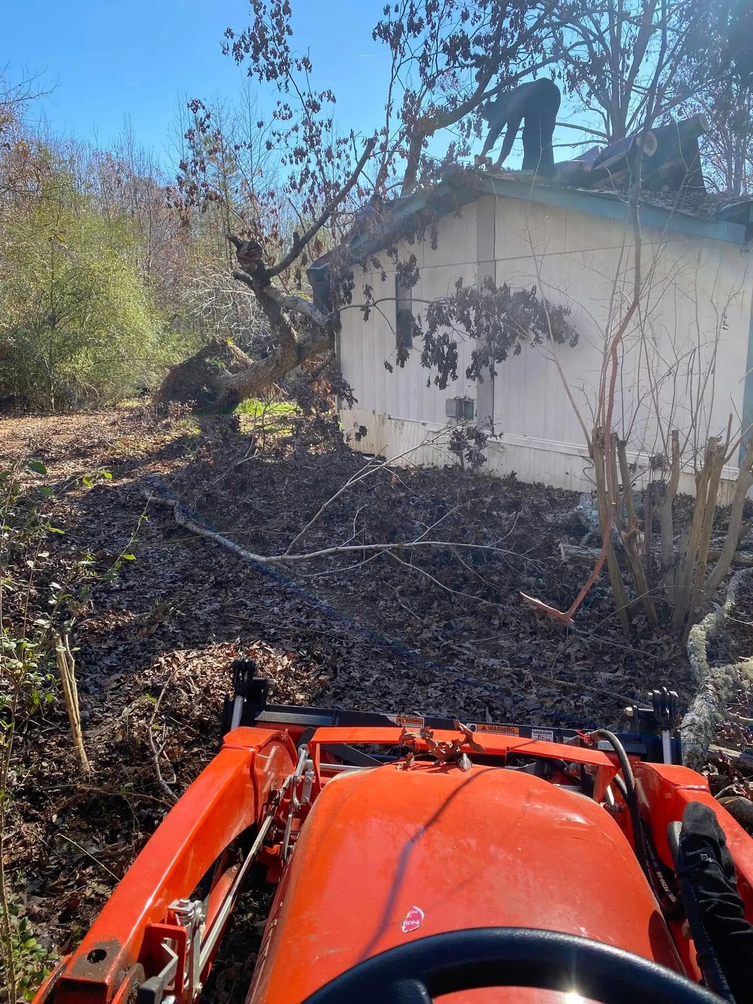 Orange tractor clearing leaves near a white shed on a sunny day.