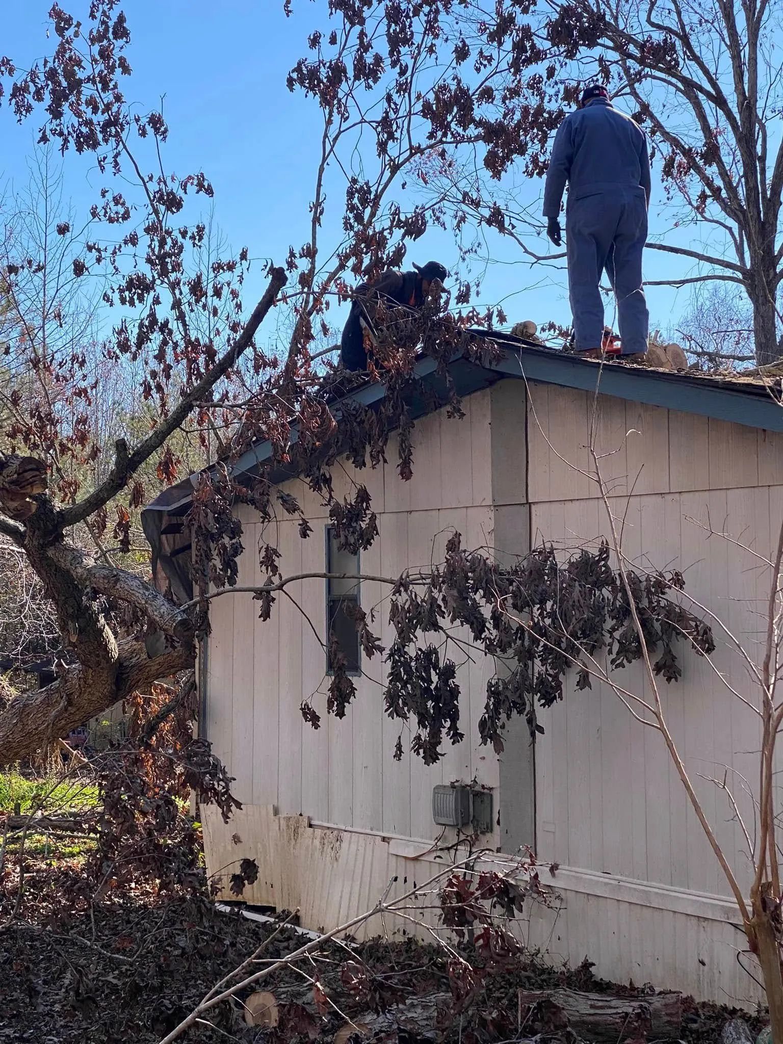 Two people on the roof of a house trimming branches. White siding, brown leaves, blue sky.