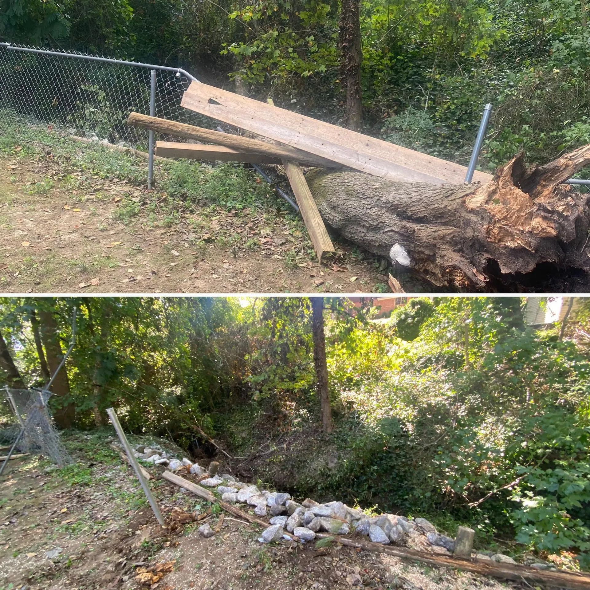 Top: Fallen tree and makeshift wooden ramp leaning on a chain-link fence. Bottom: Rock wall near a wooded area.