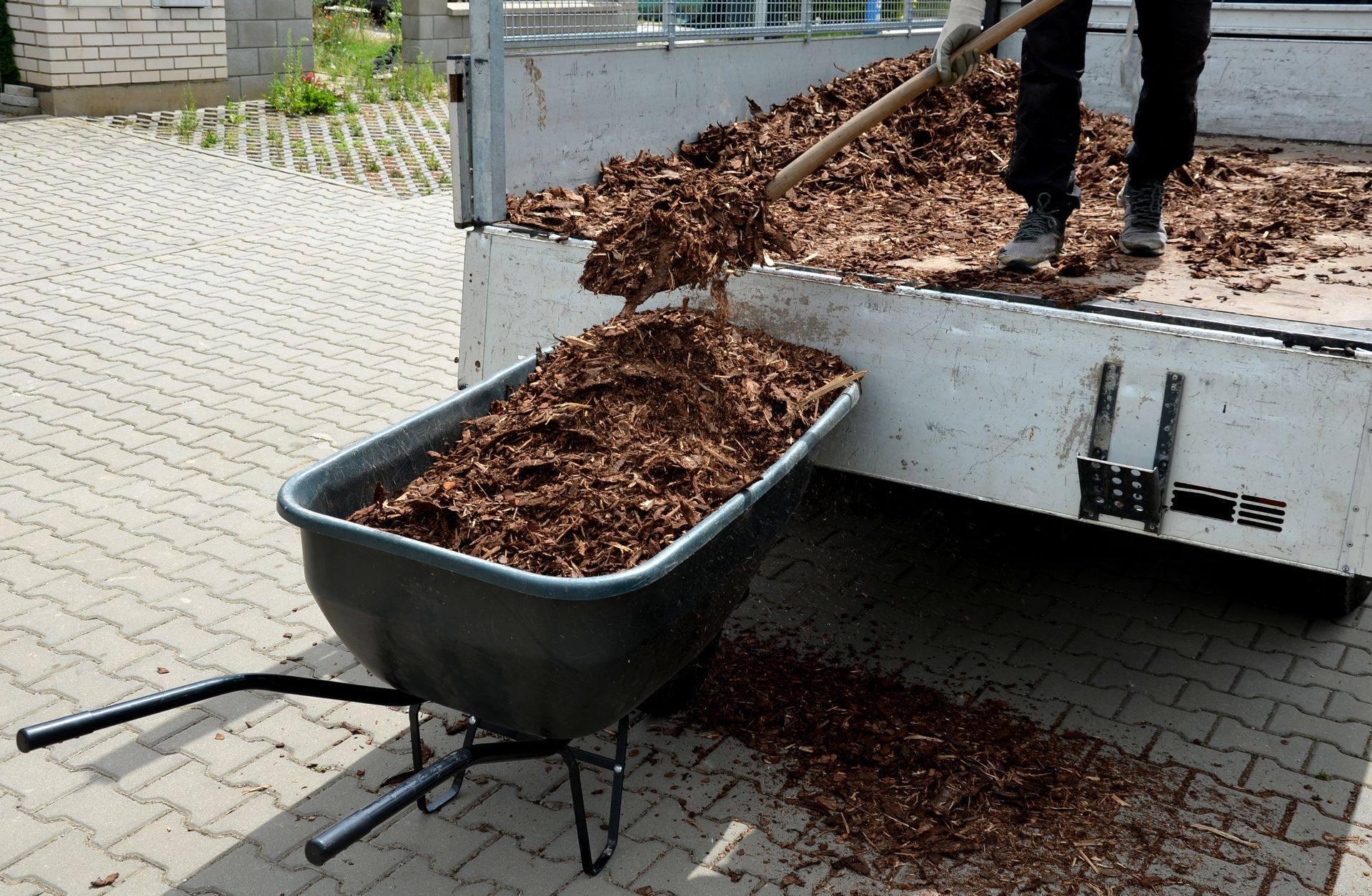 Person shoveling brown wood chips from a truck bed into a wheelbarrow on a paved surface.