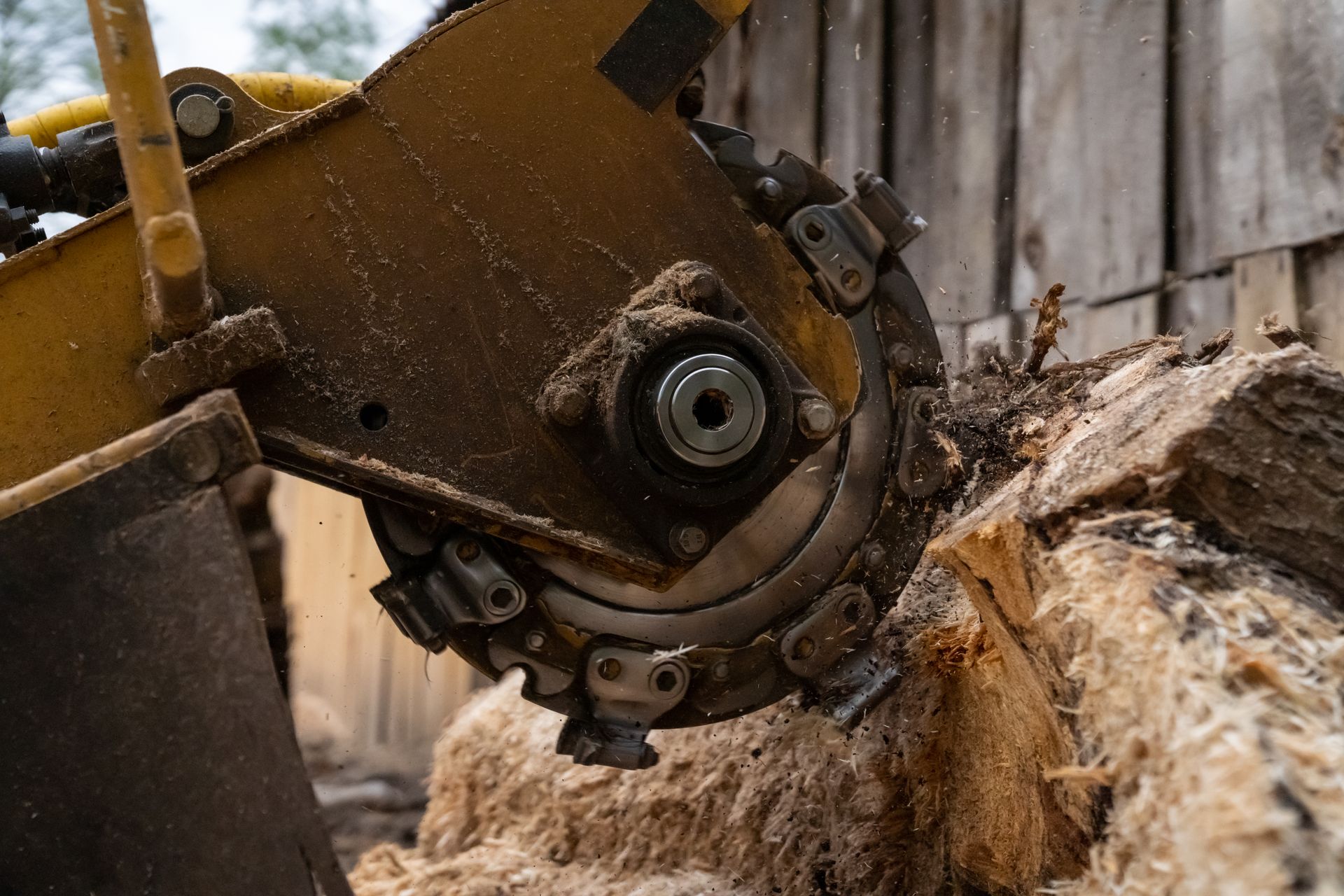 Yellow stump grinder with rotating blade cutting into a tree stump.