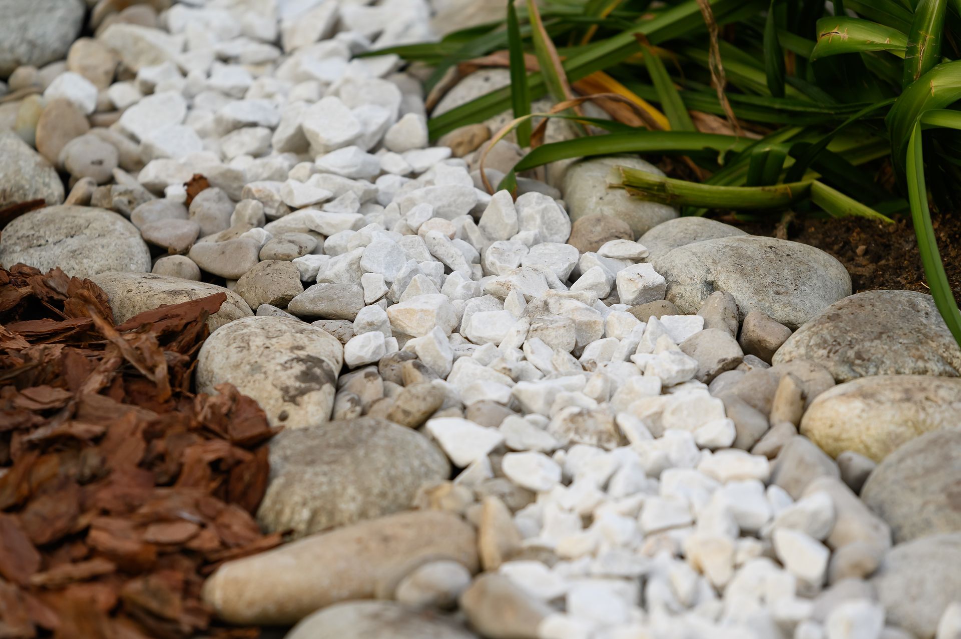 Close-up of a garden bed with river rocks, white gravel, and brown mulch. Green plants are also visible.