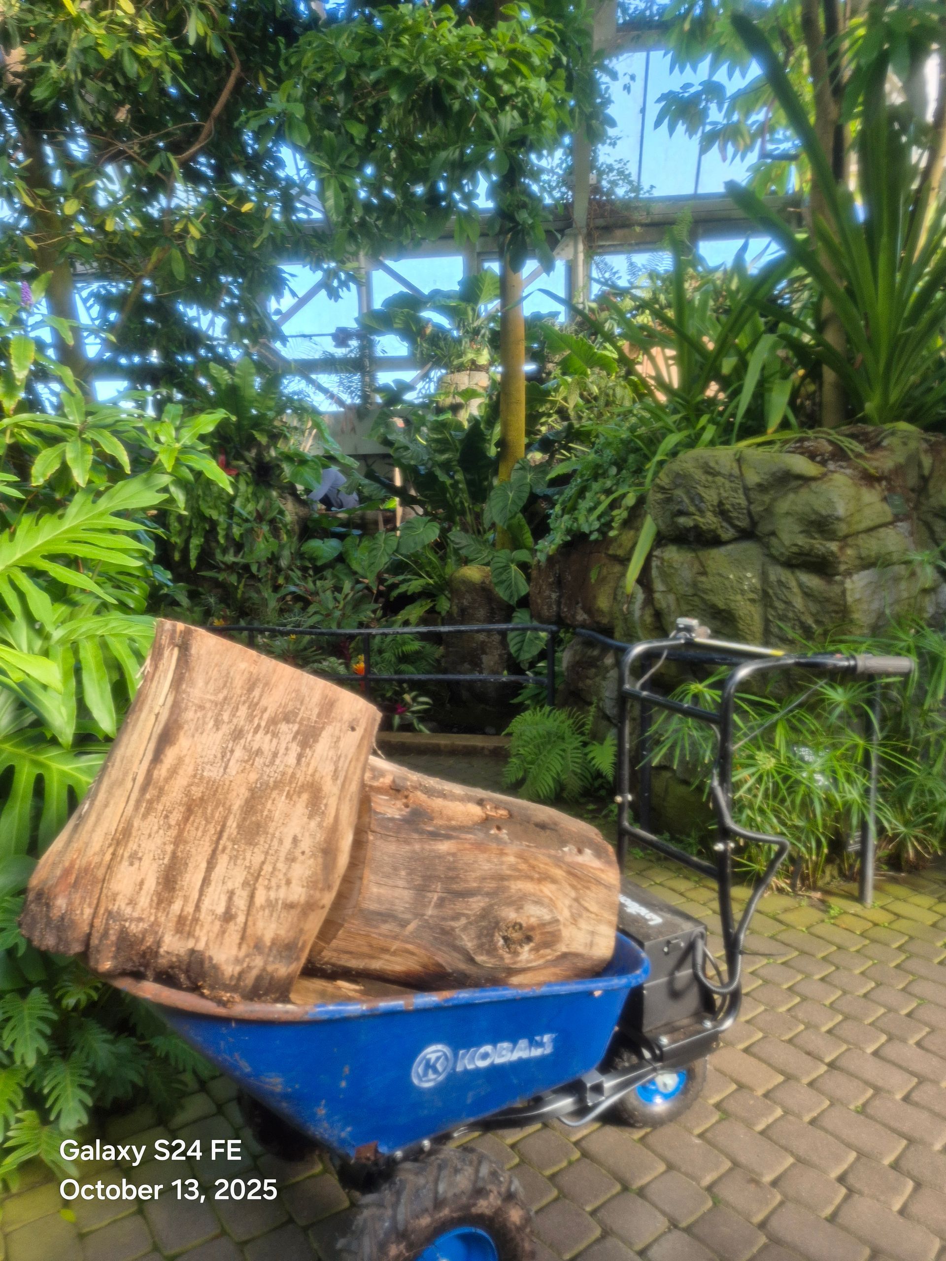 Aerial view of tree removal on a snowy residential street; a bucket lift and felled branches are visible.