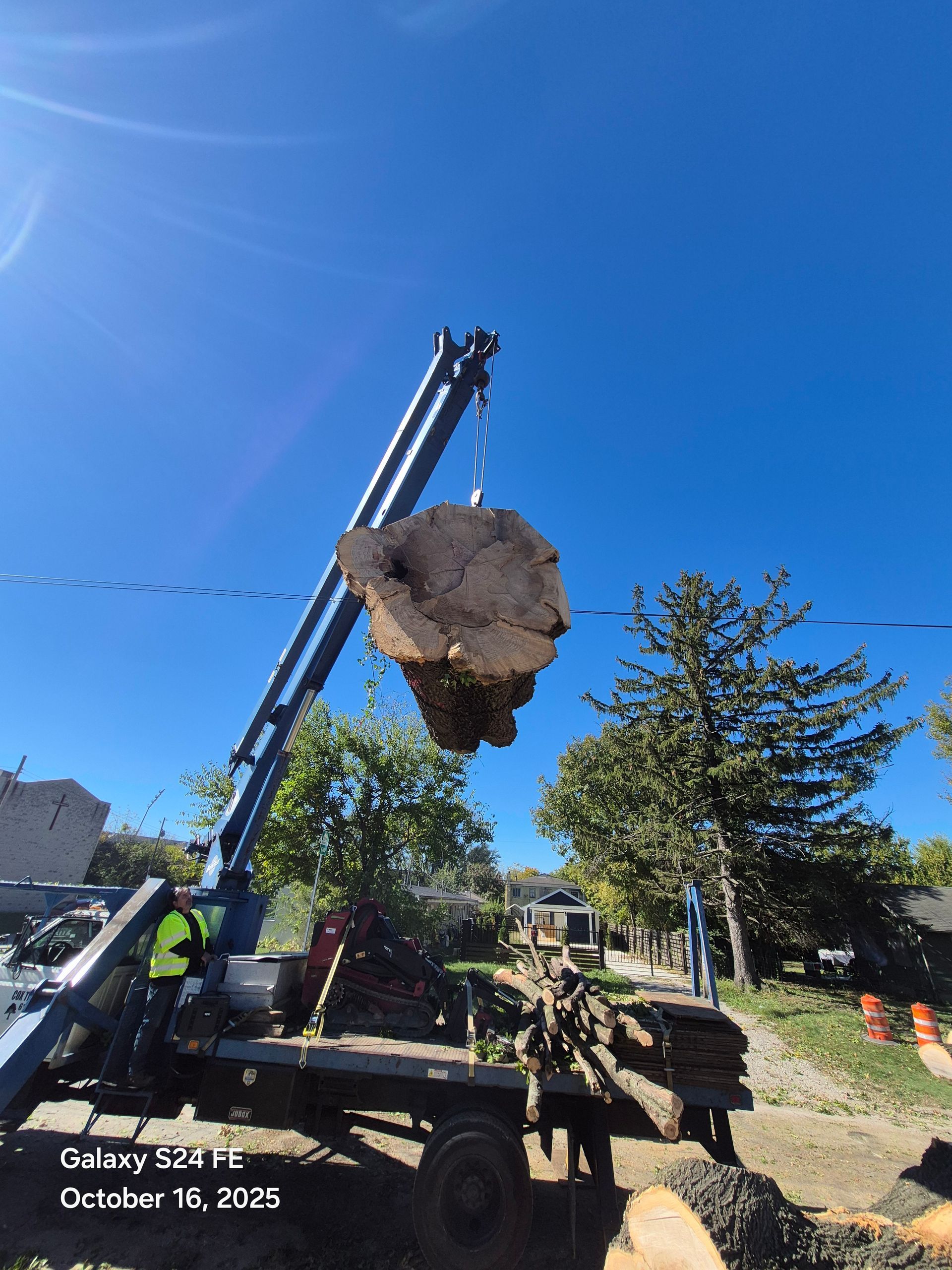 Crane lifting a large tree trunk against a blue sky, with a worker in a safety vest.