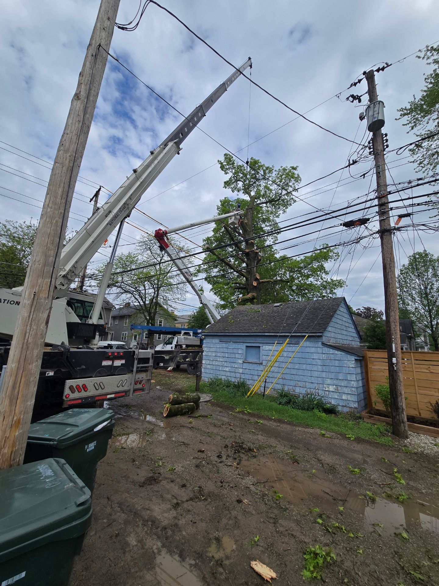 A crane is cutting down a tree in front of a house.