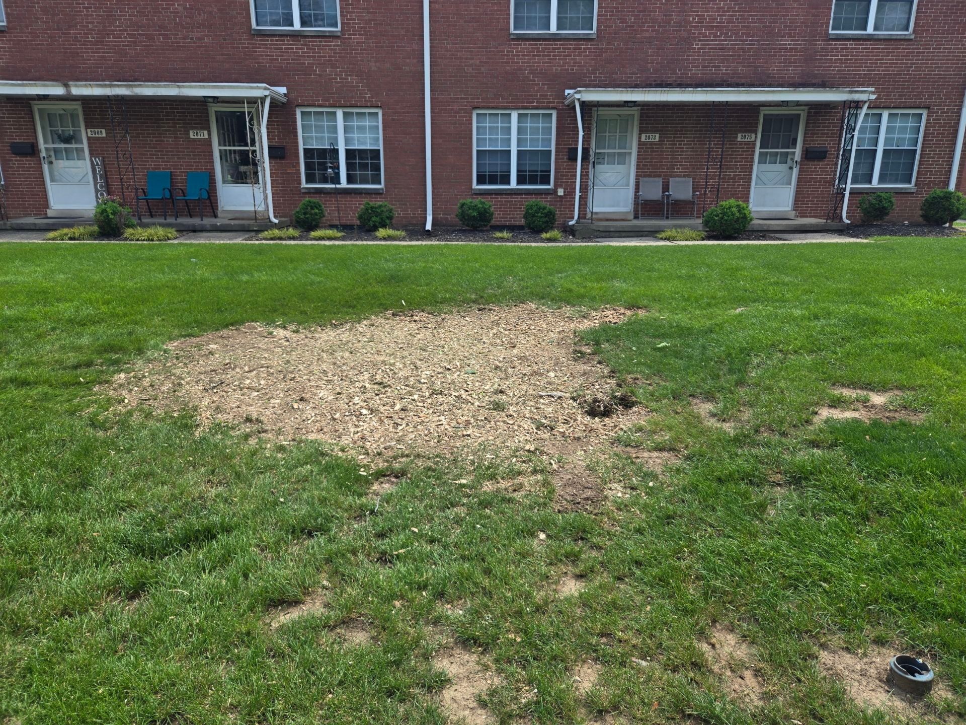 A grassy area in front of a brick building