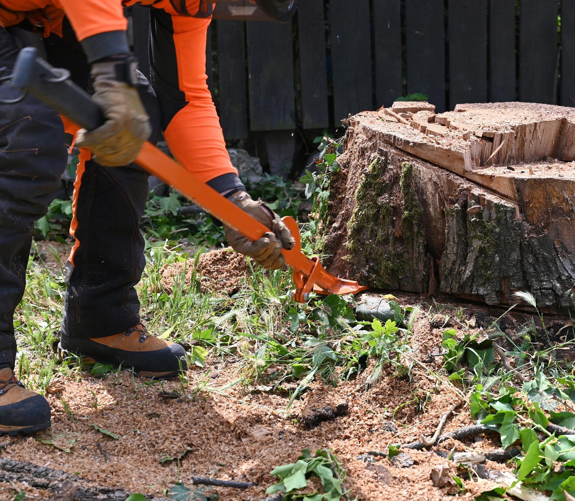 Worker using tools for tree stump removal in a yard.