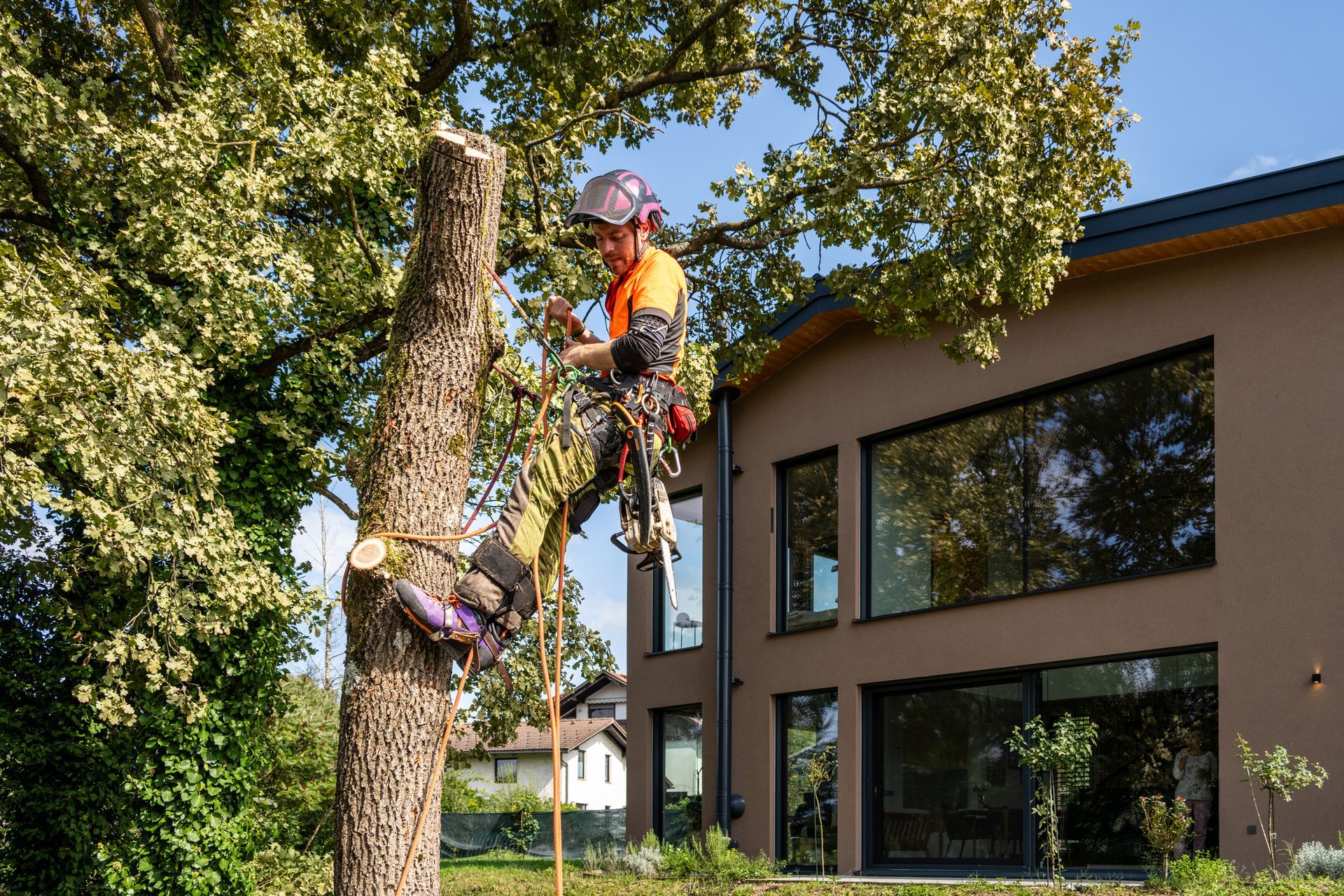 Worker in safety gear trims a tall tree near a modern house surrounded by greenery.