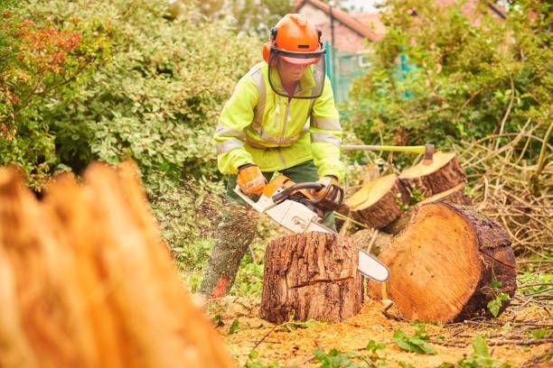 A young chainsaw operative stands proudly next to her fallen tree.