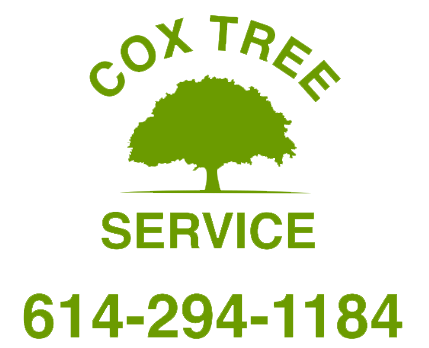 Cox Tree Service logo