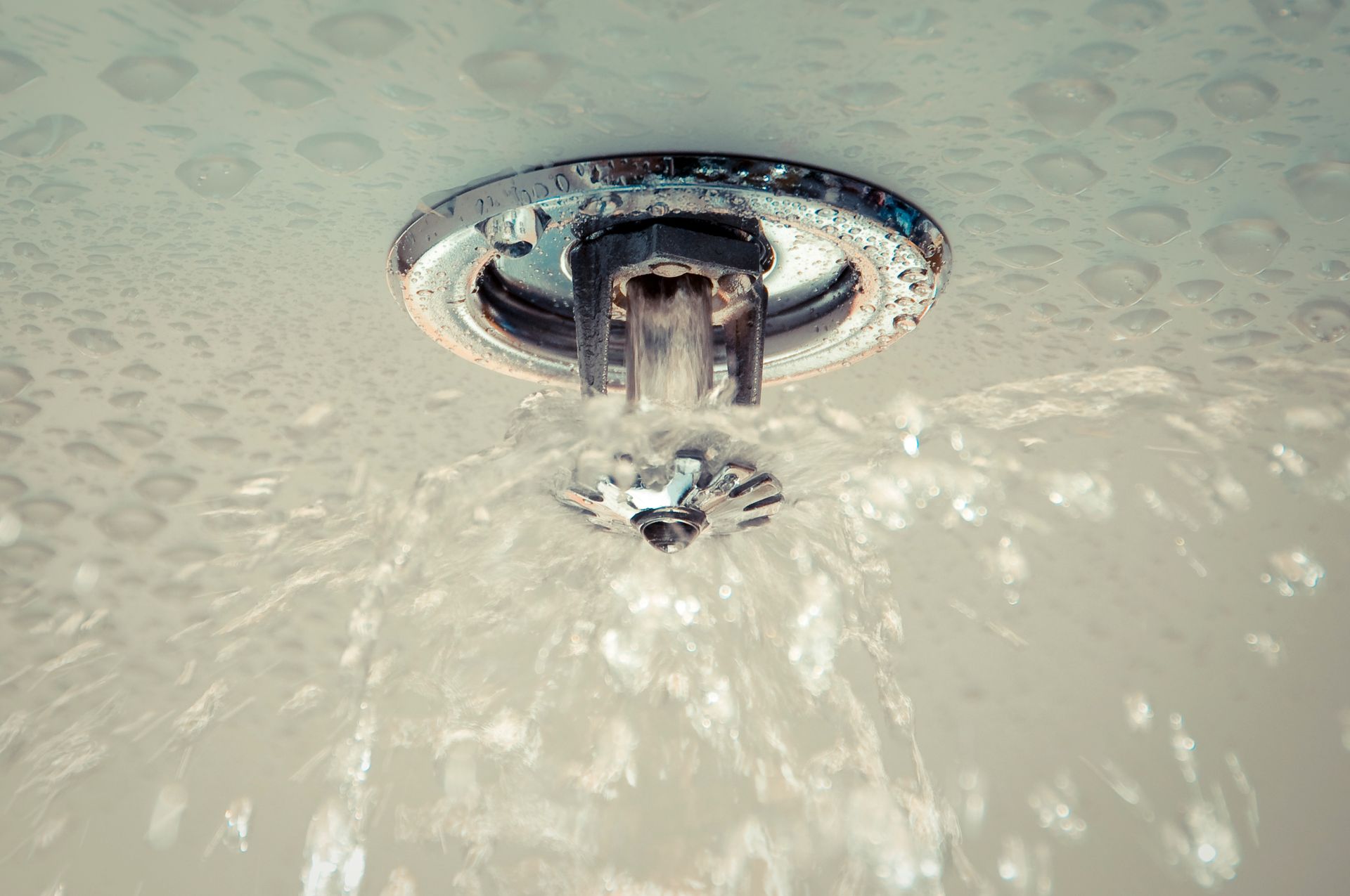 Close-up view of a ceiling sprinkler discharging water.
