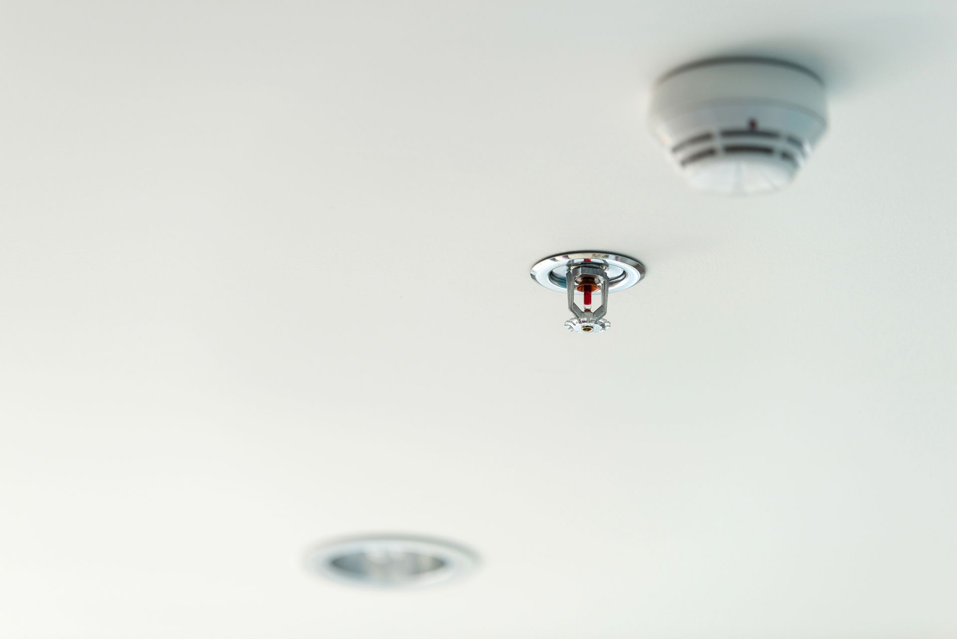 A ceiling-mounted fire sprinkler and smoke detector for safety.