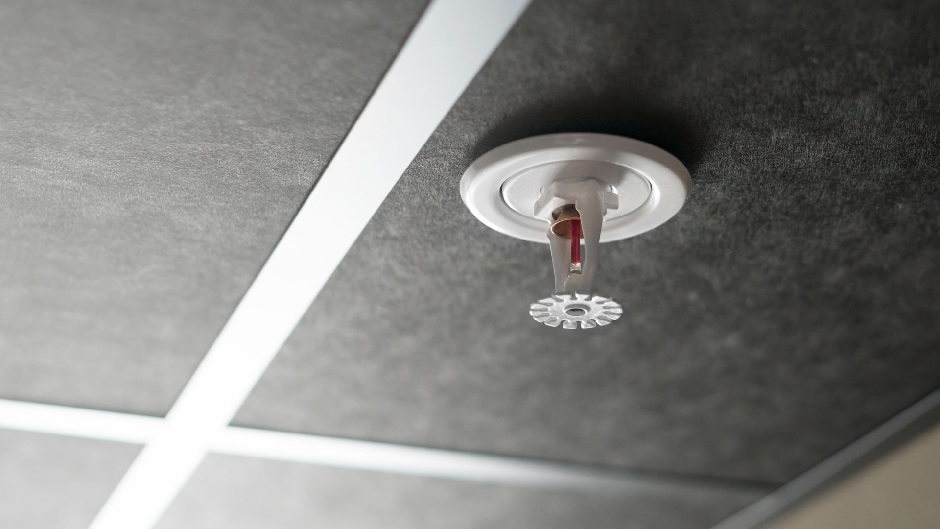 White fire sprinkler head mounted on a gray ceiling with a grid of white lines.