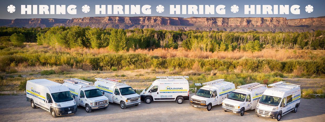 Hiring Advertisement