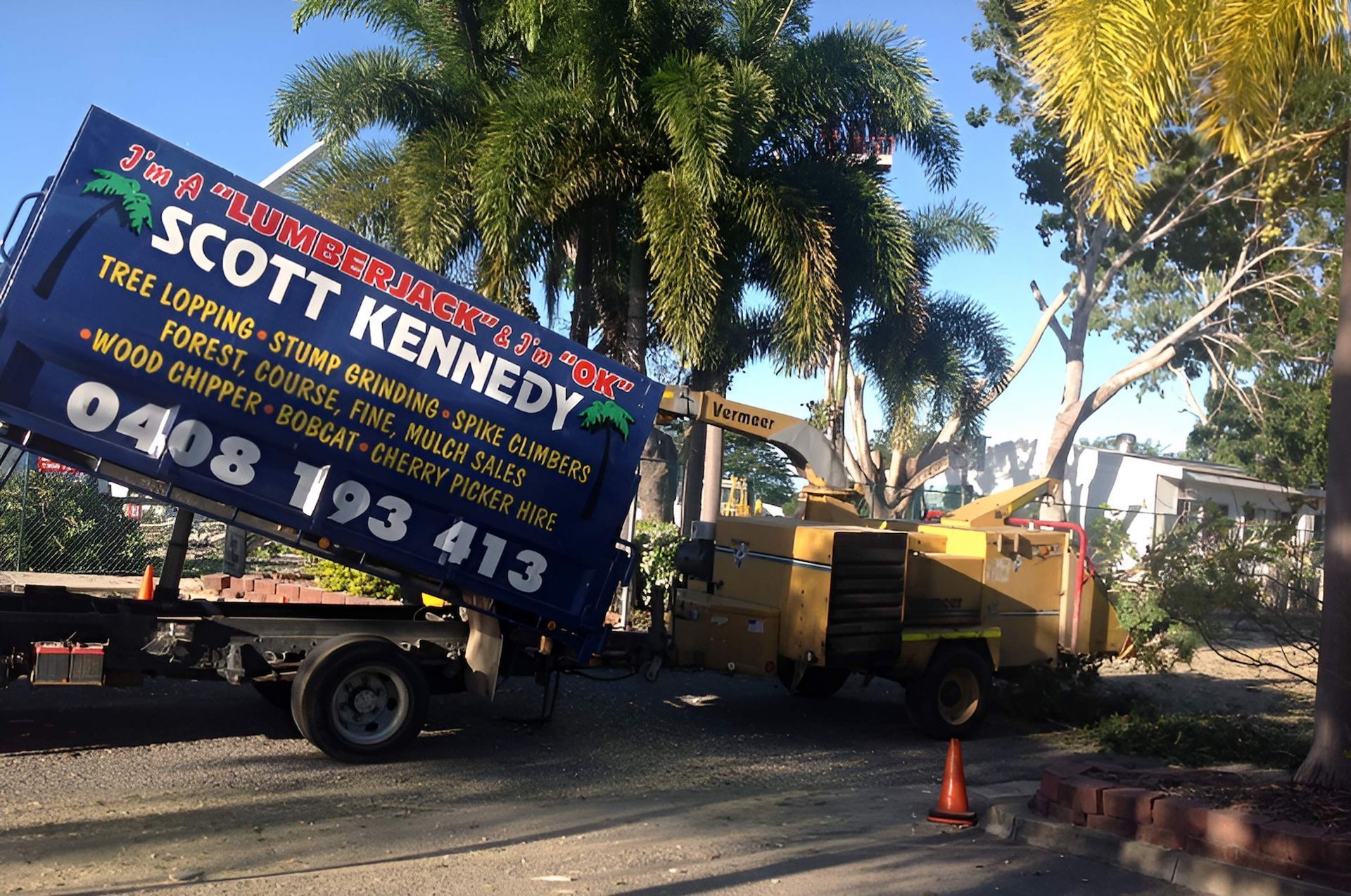 A Man Is Cutting A Tree With A Crane In A Park — Scott Kennedy's Landscape & Garden Supplies In Shaw, QLD