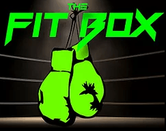 The Fit Box Gym Specializing in Fitness Boxing in Fenton MI