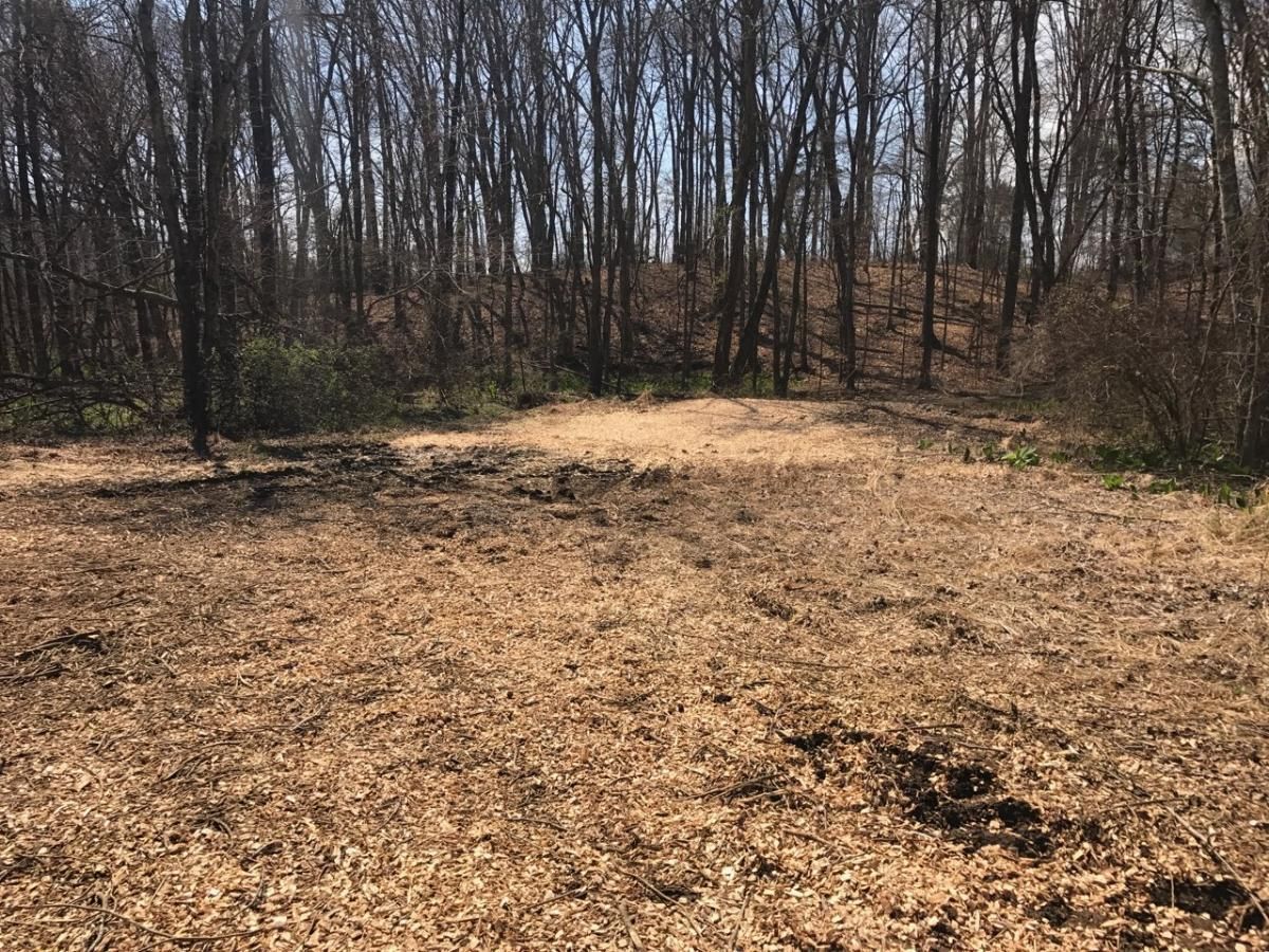 Top Rated Land Clearing Service in Deptford, Elmer & Pittsgrove