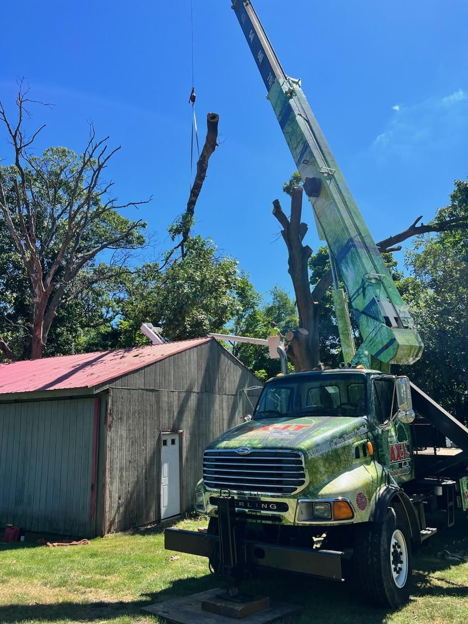 Top Rated Tree Removal Service in Deptford, Elmer & Pittsgrove Township, New Jersey