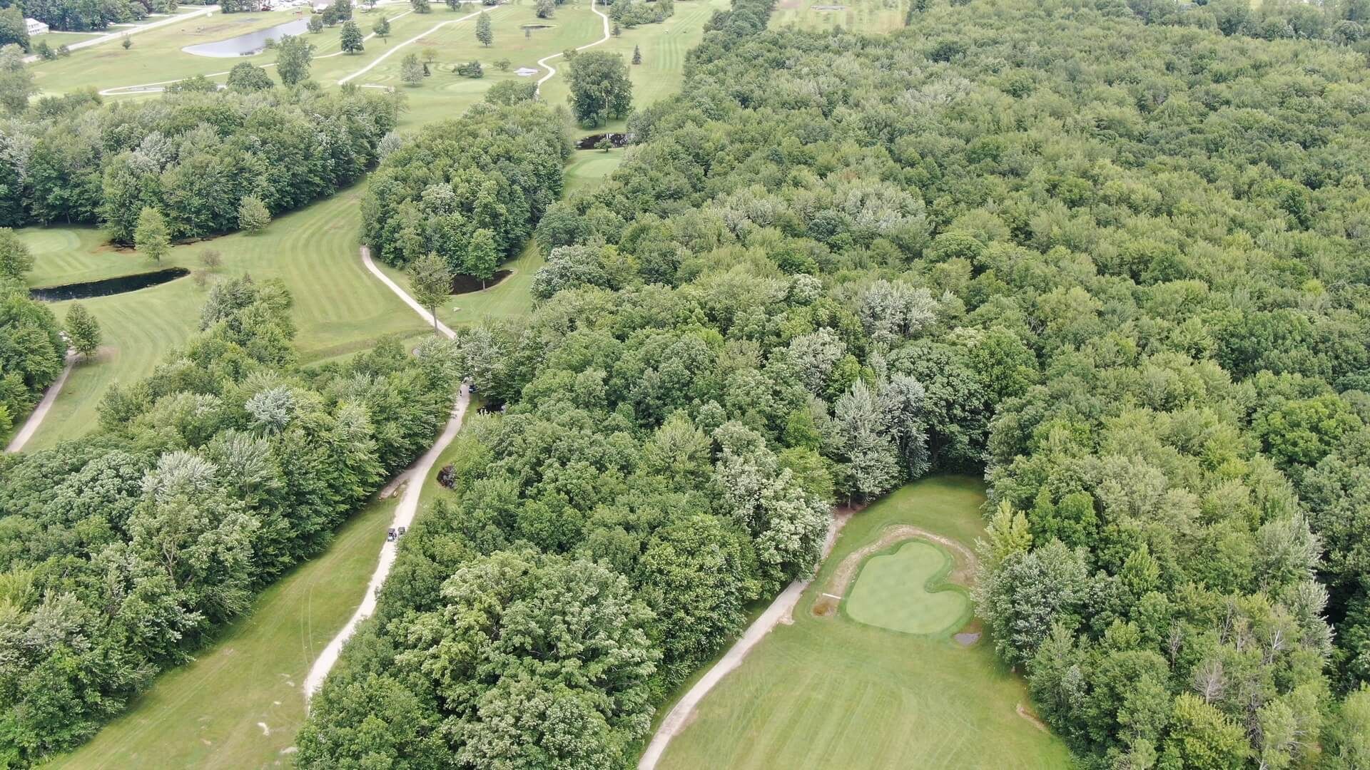 An aerial view of a golf course surrounded by trees and grass.
