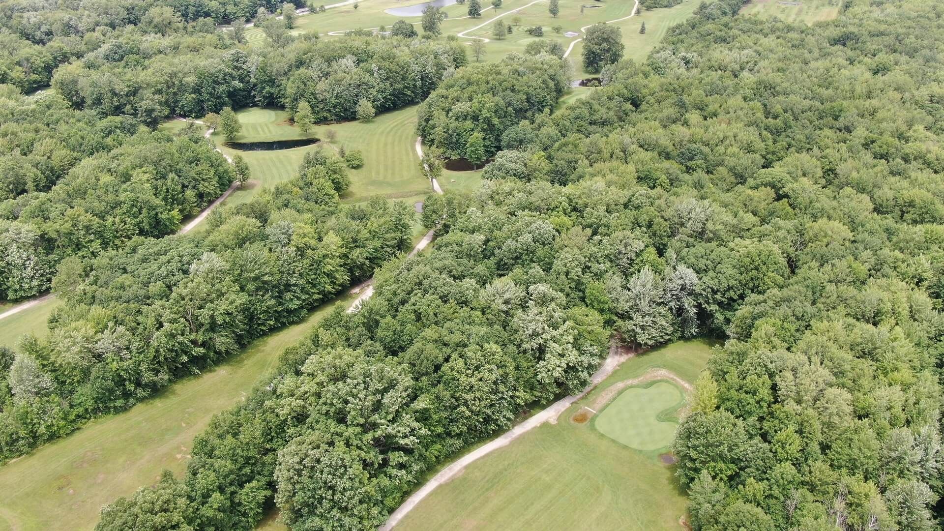 An aerial view of a golf course surrounded by trees and grass.