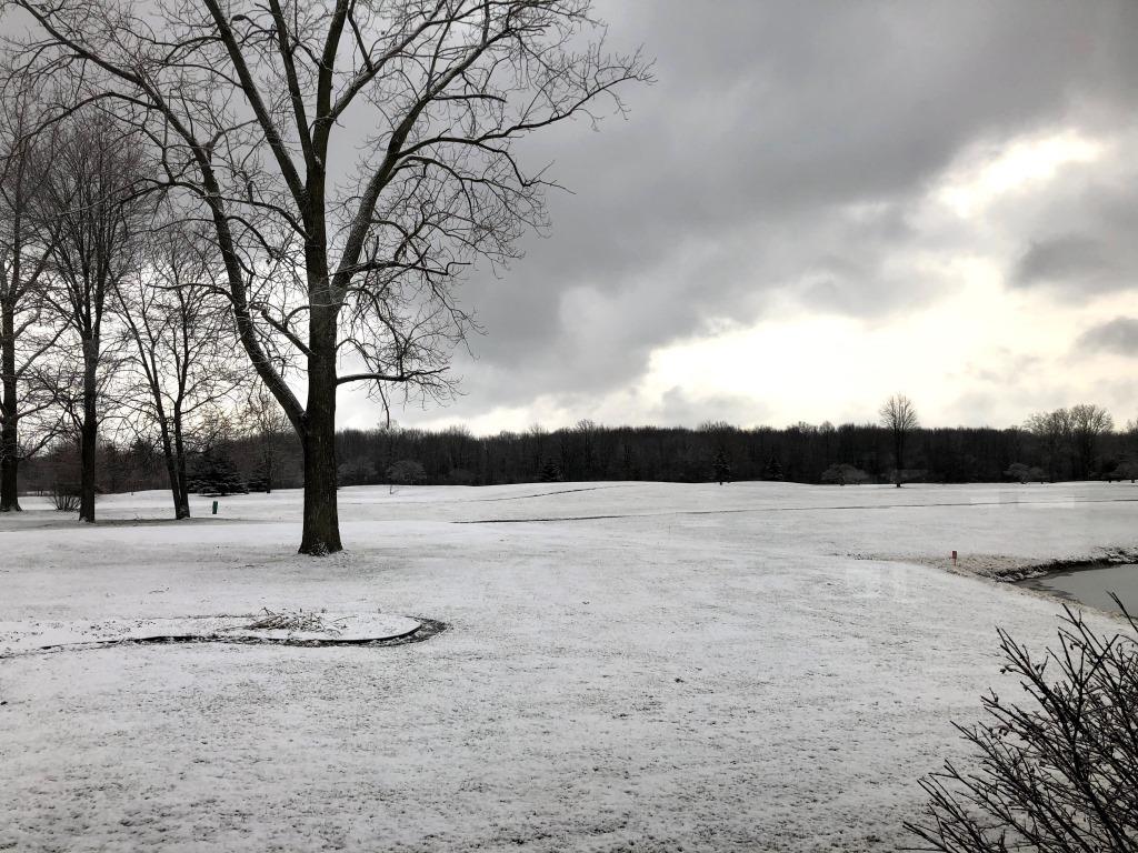 A snowy field with trees and a lake in the background.