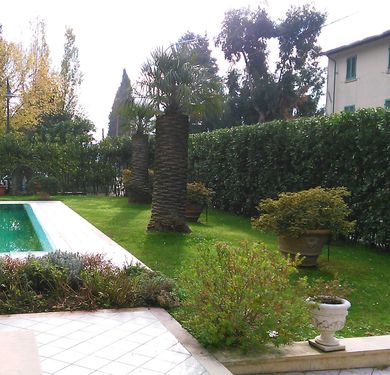 Potatura delle piante ed alberi a Seravezza