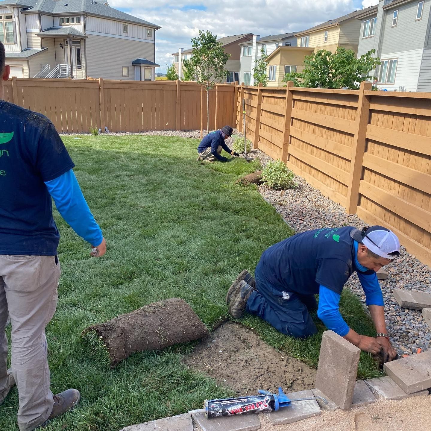 Garden bed edged with light-colored rocks, filled with dark mulch and various plants, including purple and yellow flowers.