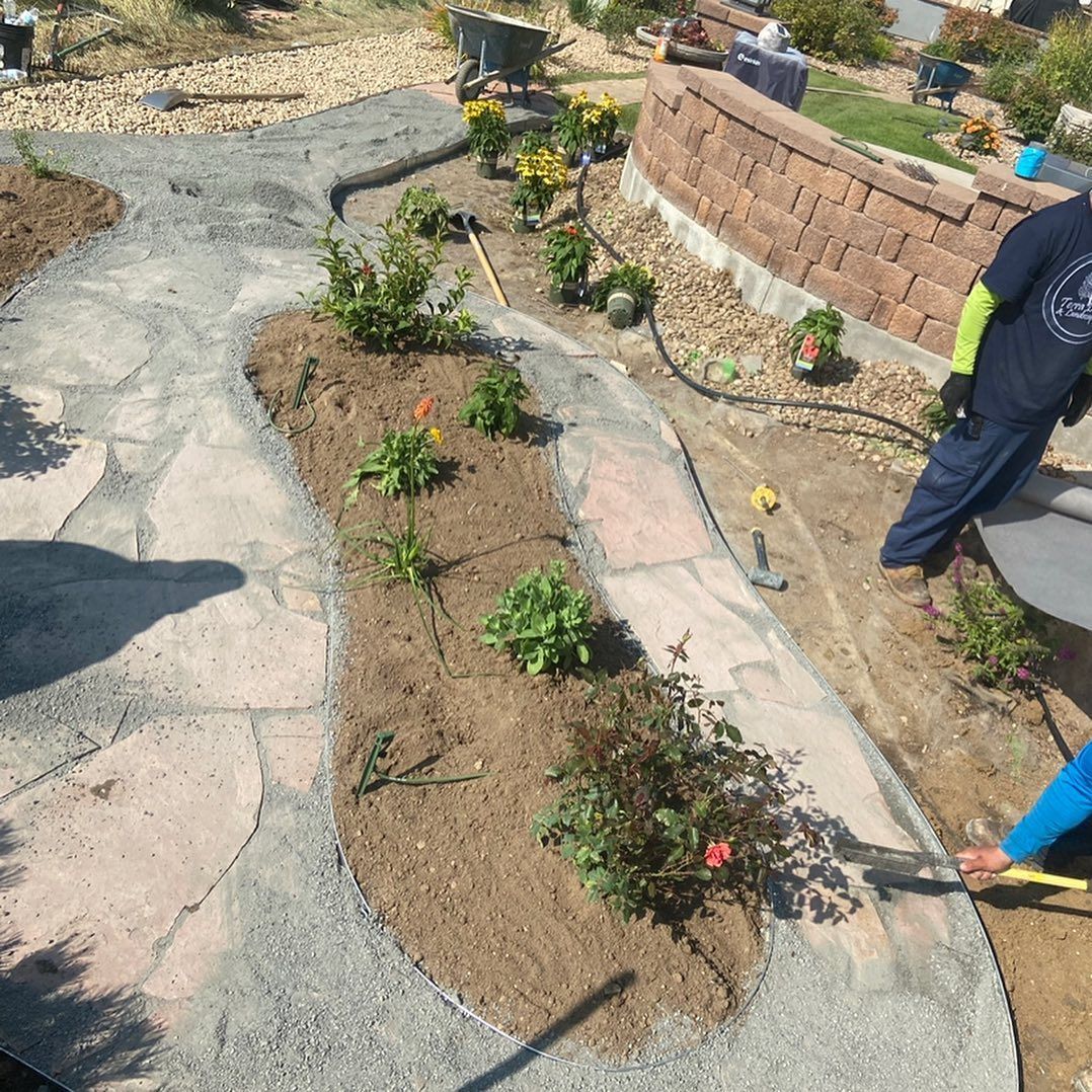 A landscaped garden with a winding stone path and newly planted flowers.