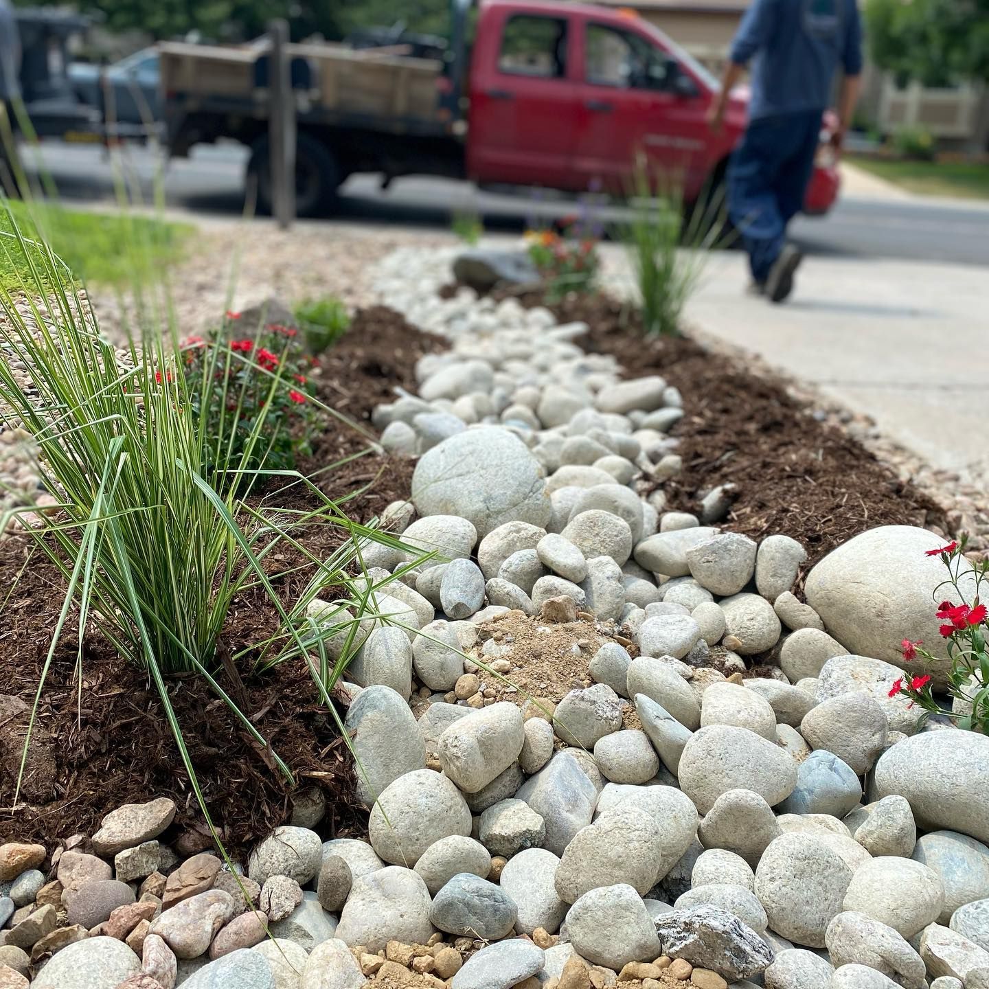 Rock-lined dry creek bed with large, light-colored stones, mulched edges, and green plants.