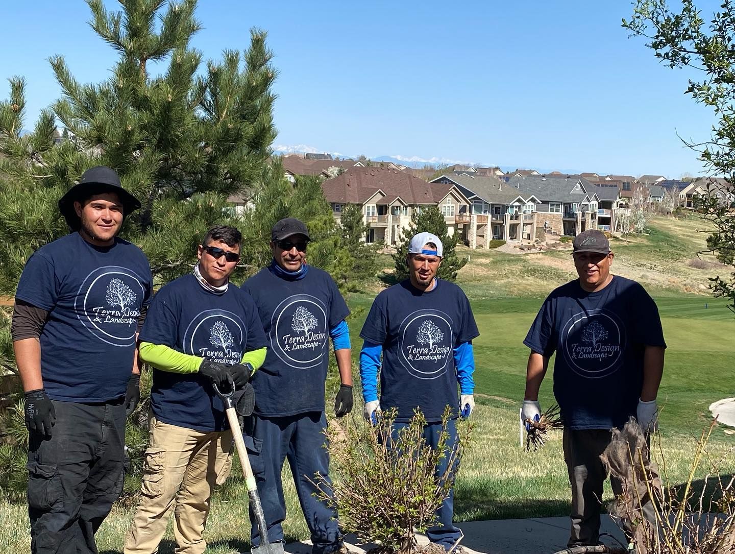 Five people in matching blue shirts plant trees outdoors on a sunny day. A neighborhood is in the background.