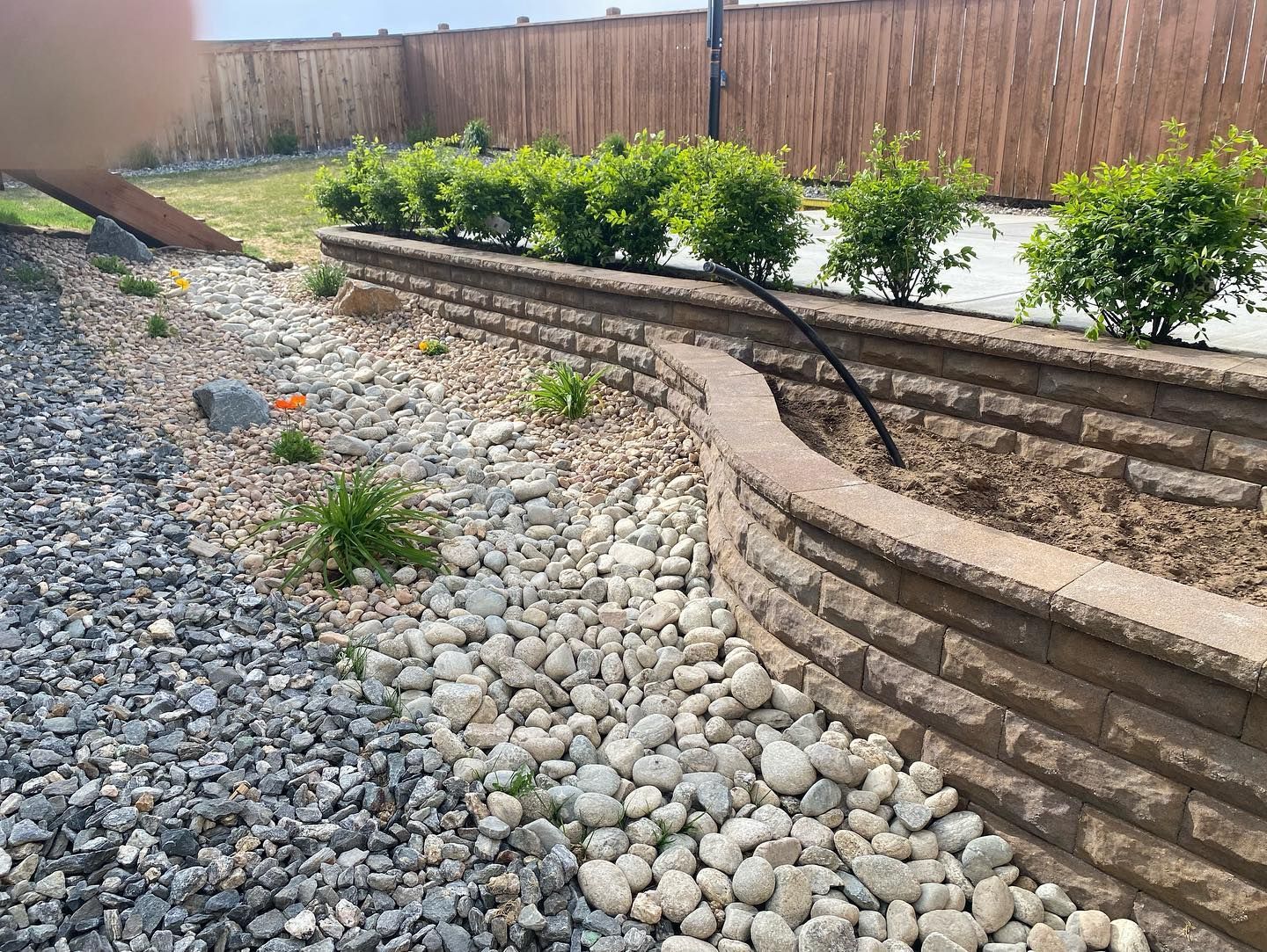 A retaining wall with shrubs and a gravel bed, against a wooden fence. The wall is brown and the gravel is gray/white.