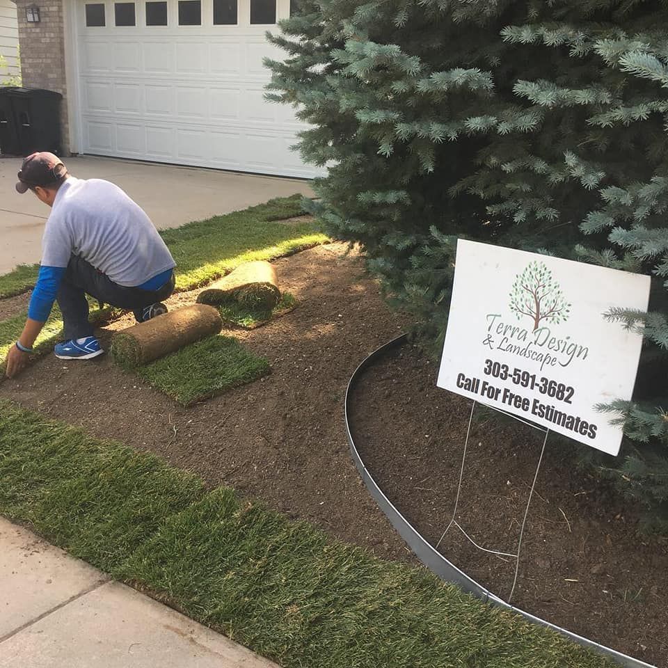 A landscaper laying sod in a front yard next to a driveway. A sign for Terra Design & Landscaping is visible.