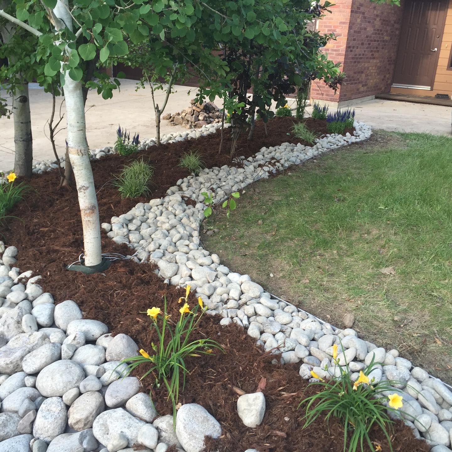 Landscaped front yard with a rock and mulch border, trees, and yellow flowers.
