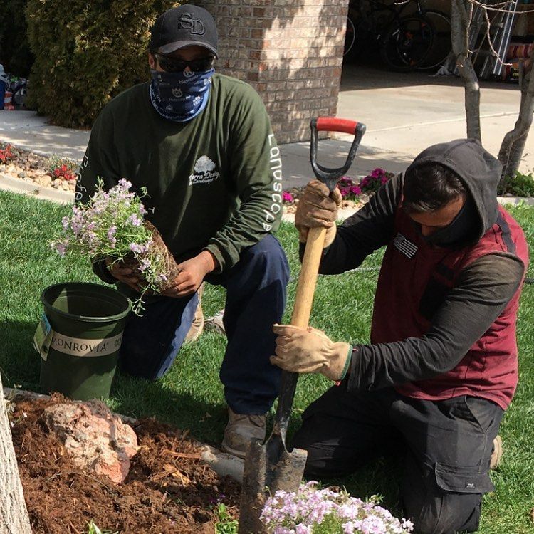 Two people planting flowers in a yard. One kneels holding a plant, the other kneels digging with a shovel.