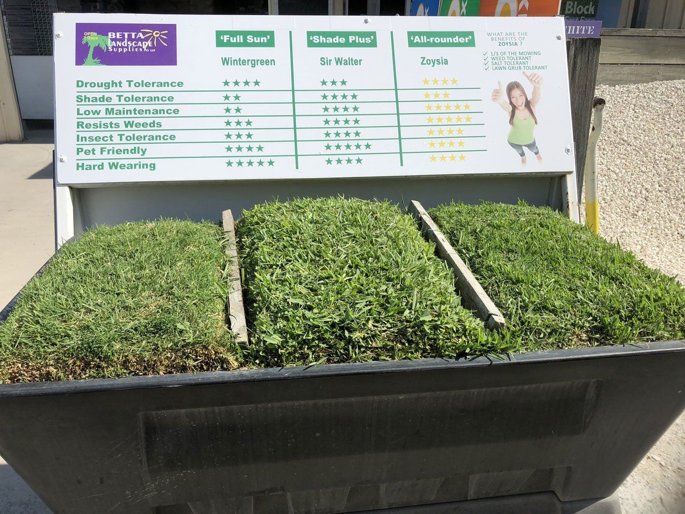 different landscaping turfs supplies on the Gold Coast