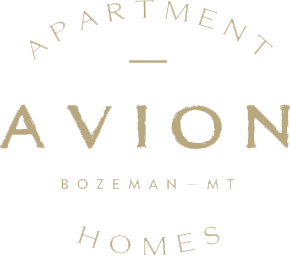 Empty white background.