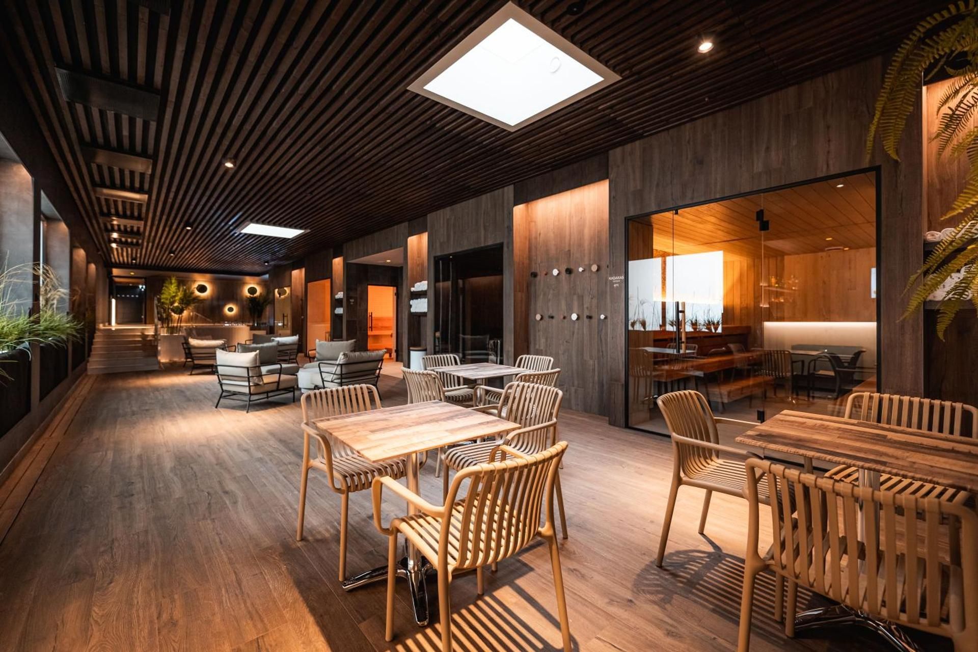 Carpet being cleaned with a vacuum cleaner, revealing a clean strip.