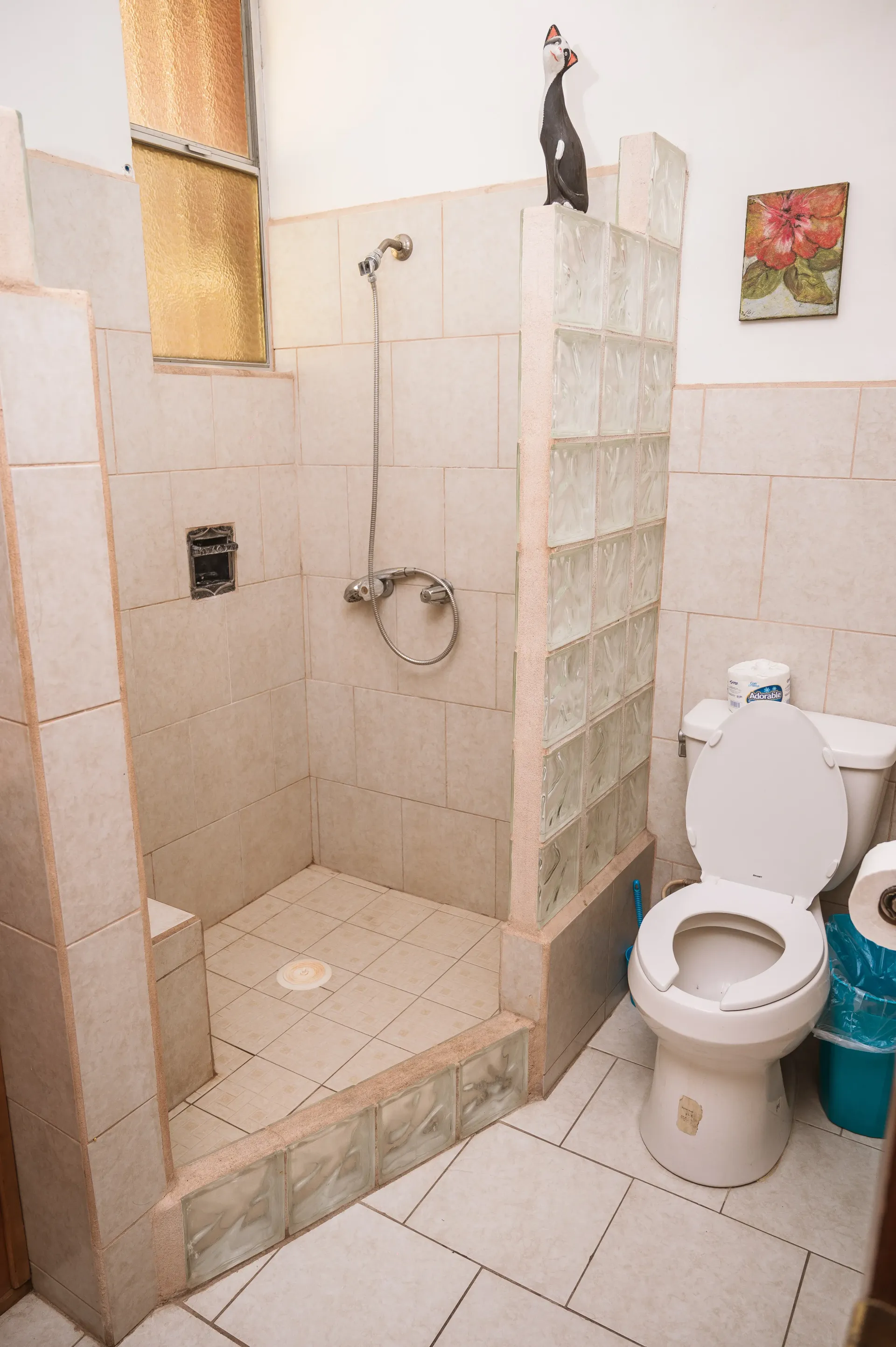 Baño con paredes alicatadas, ducha e inodoro. Se ve una pared decorativa de bloques de vidrio.