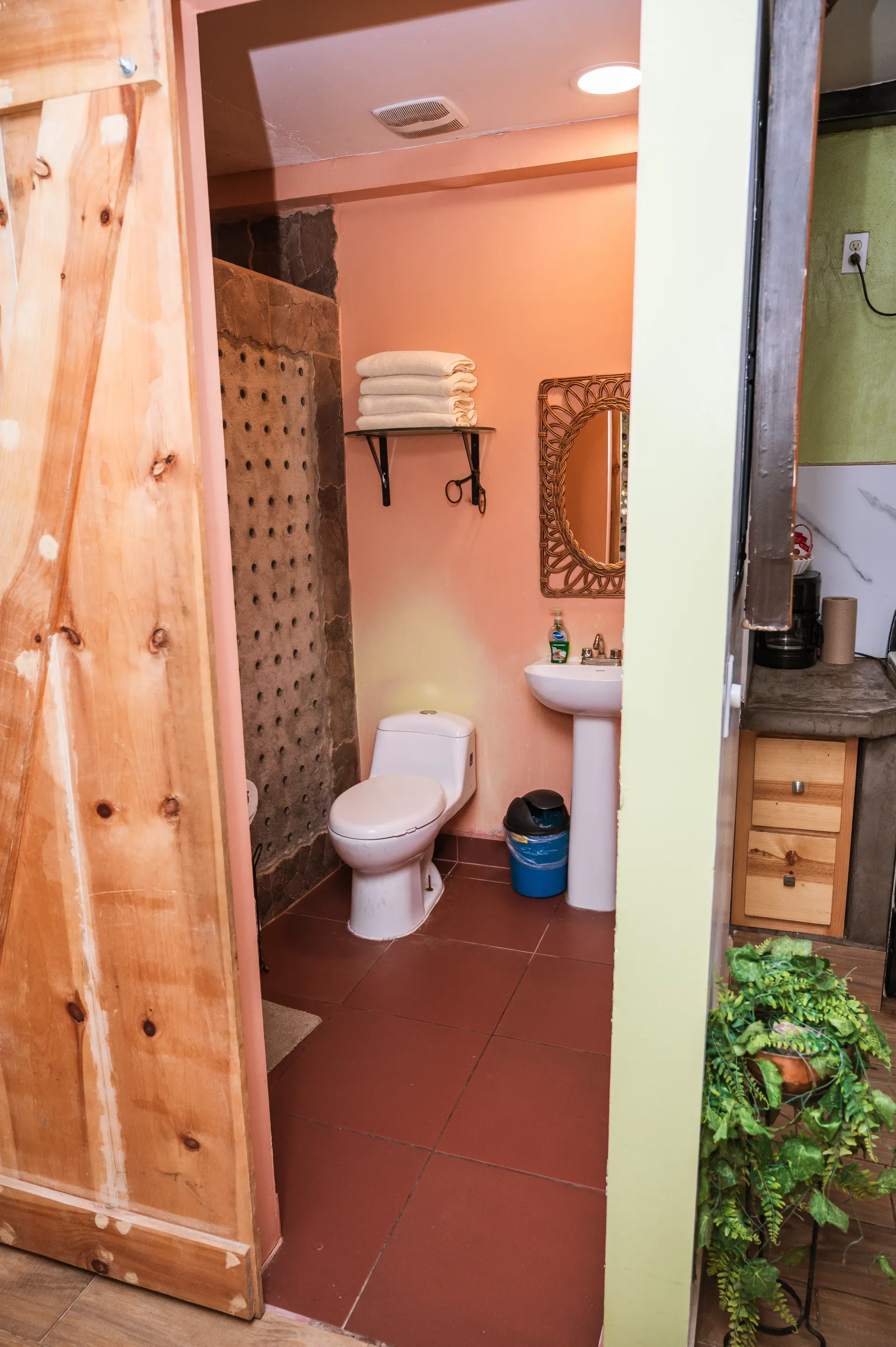 Bathroom interior with a wooden sliding door, coral walls, toilet, and sink.